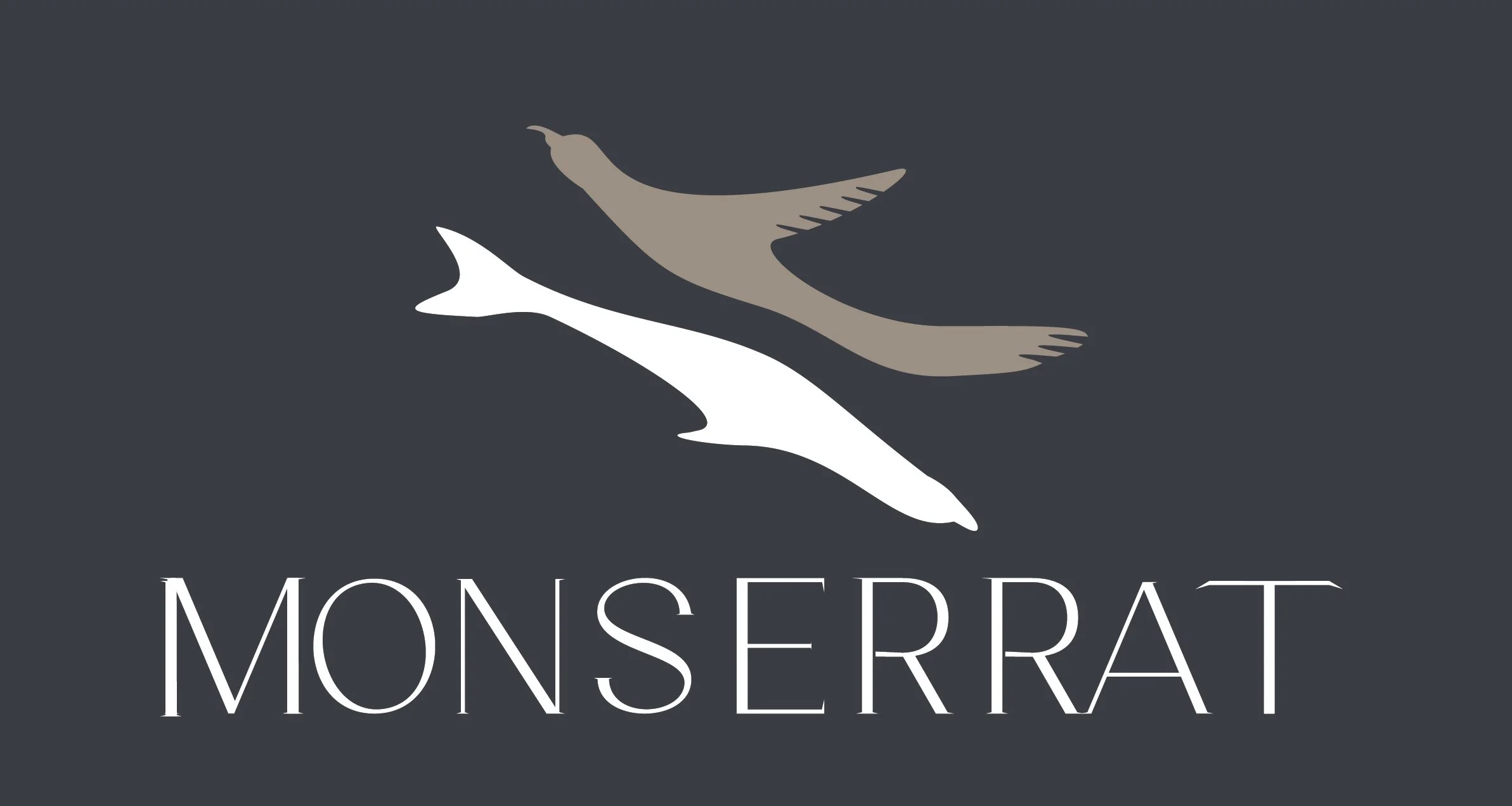 logo Monse 5.jpg