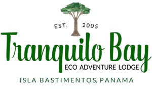 2026 auction donor logo