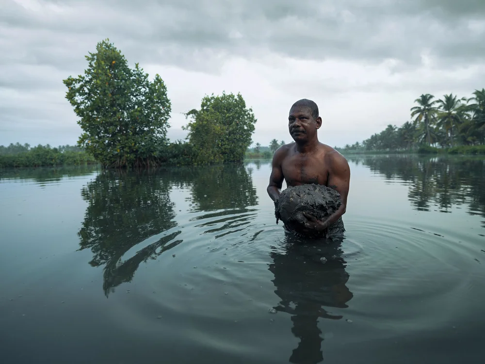 Coastal Communities Through Climate Resilience: A Tourism-Led Approach