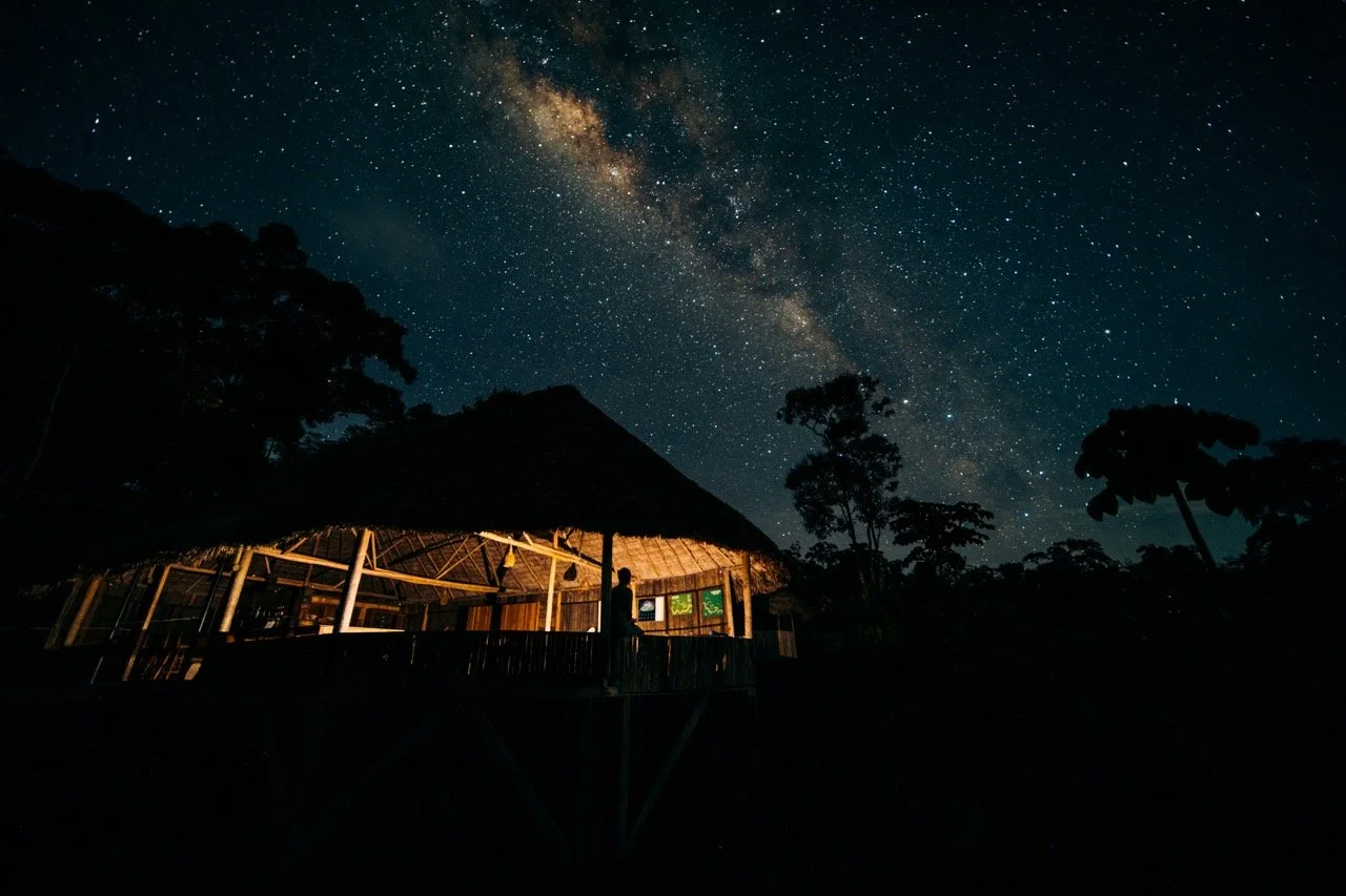 night sky in the amazon