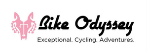 2026 auction donor logo