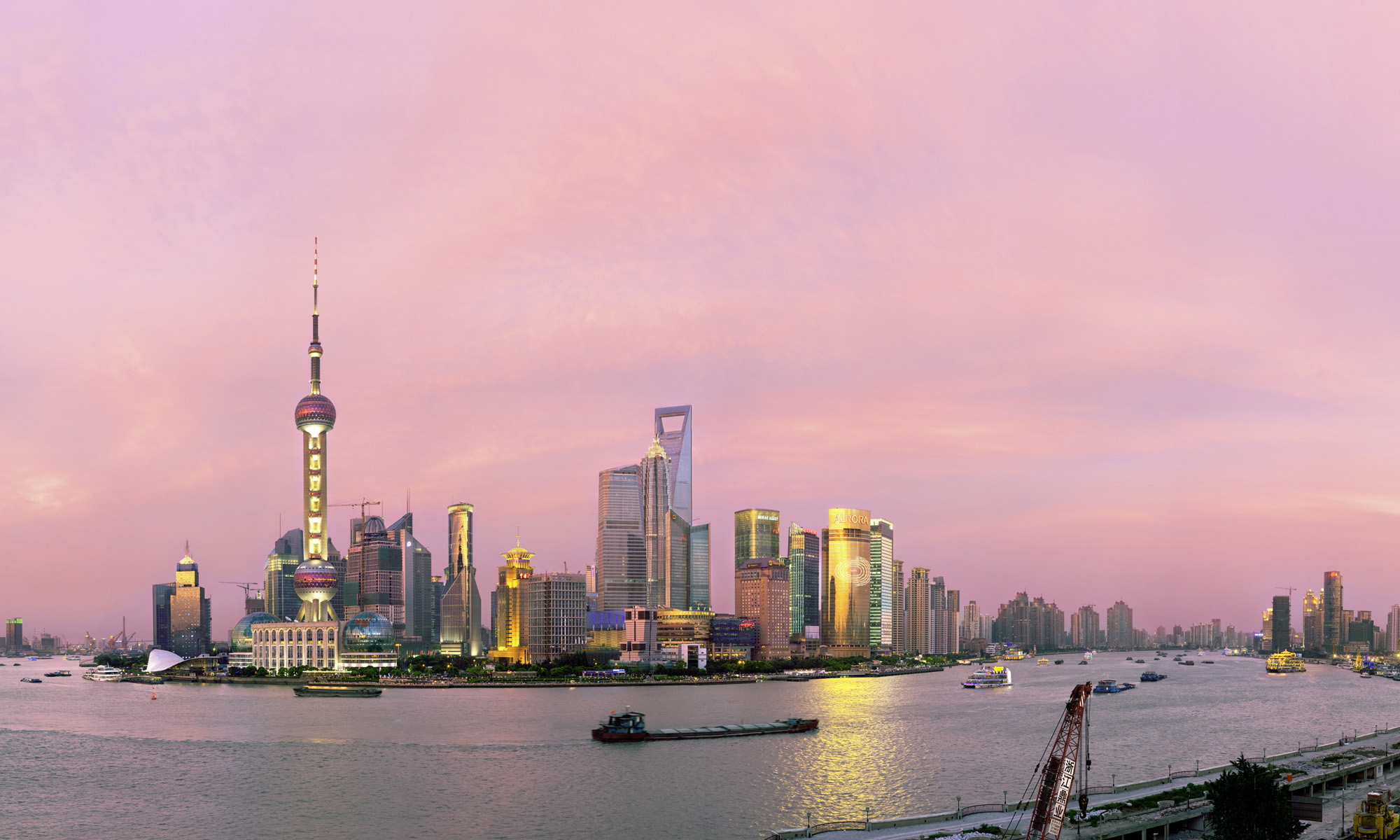 CHSH-PRO - Pudong Rose.jpg