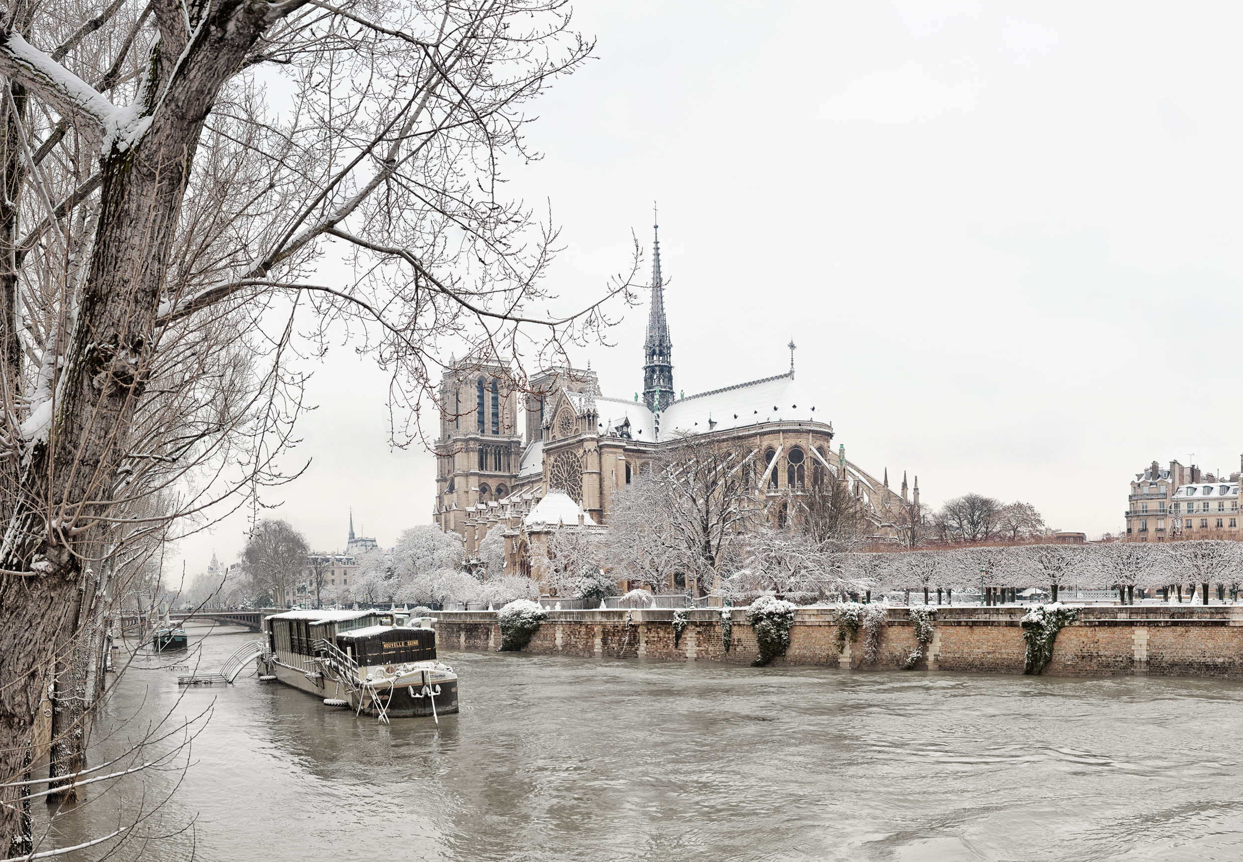 Notre-Dame de Paris, Hiver 2018