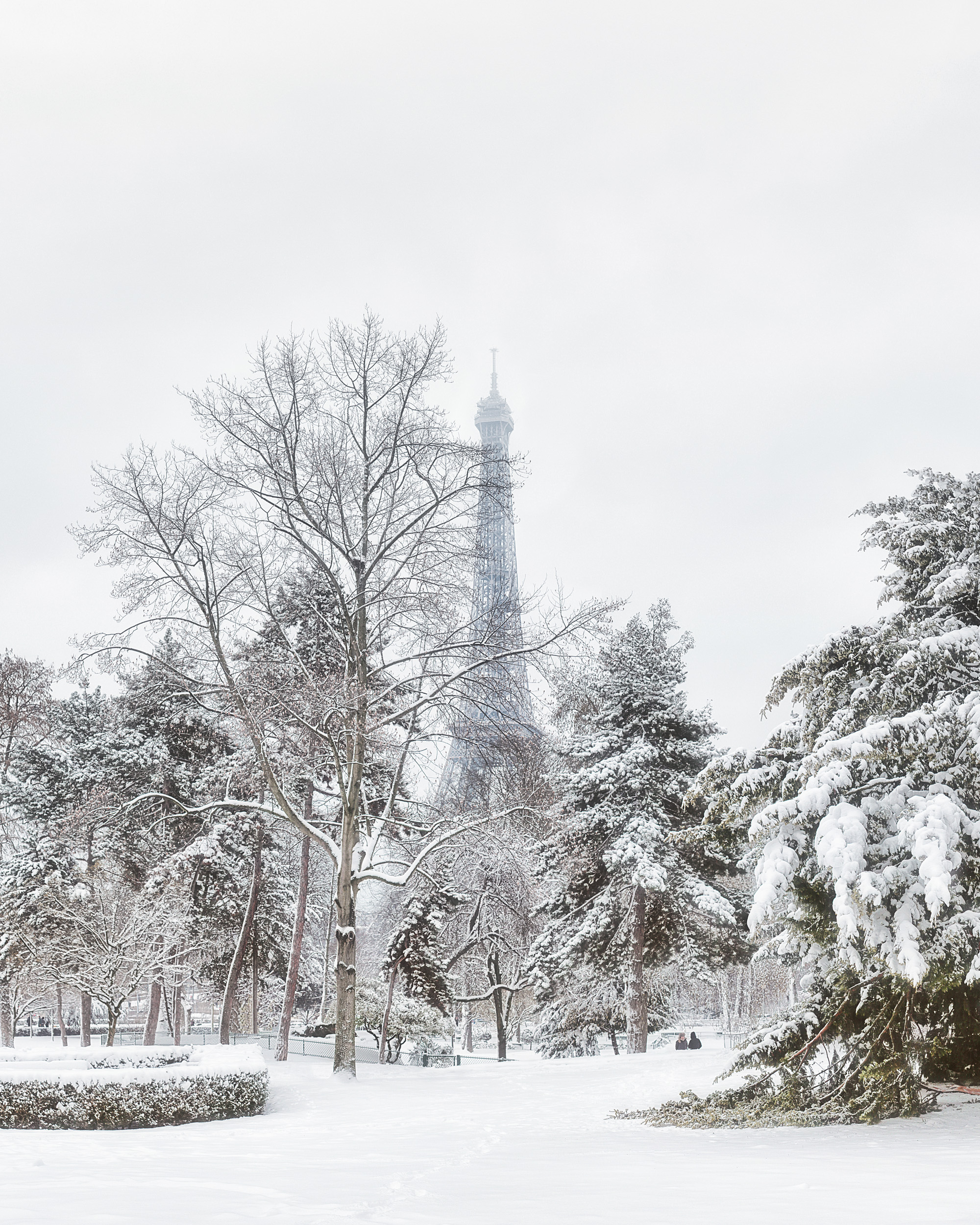 Tour Eiffel from Trocadero gardens, Winter 2018