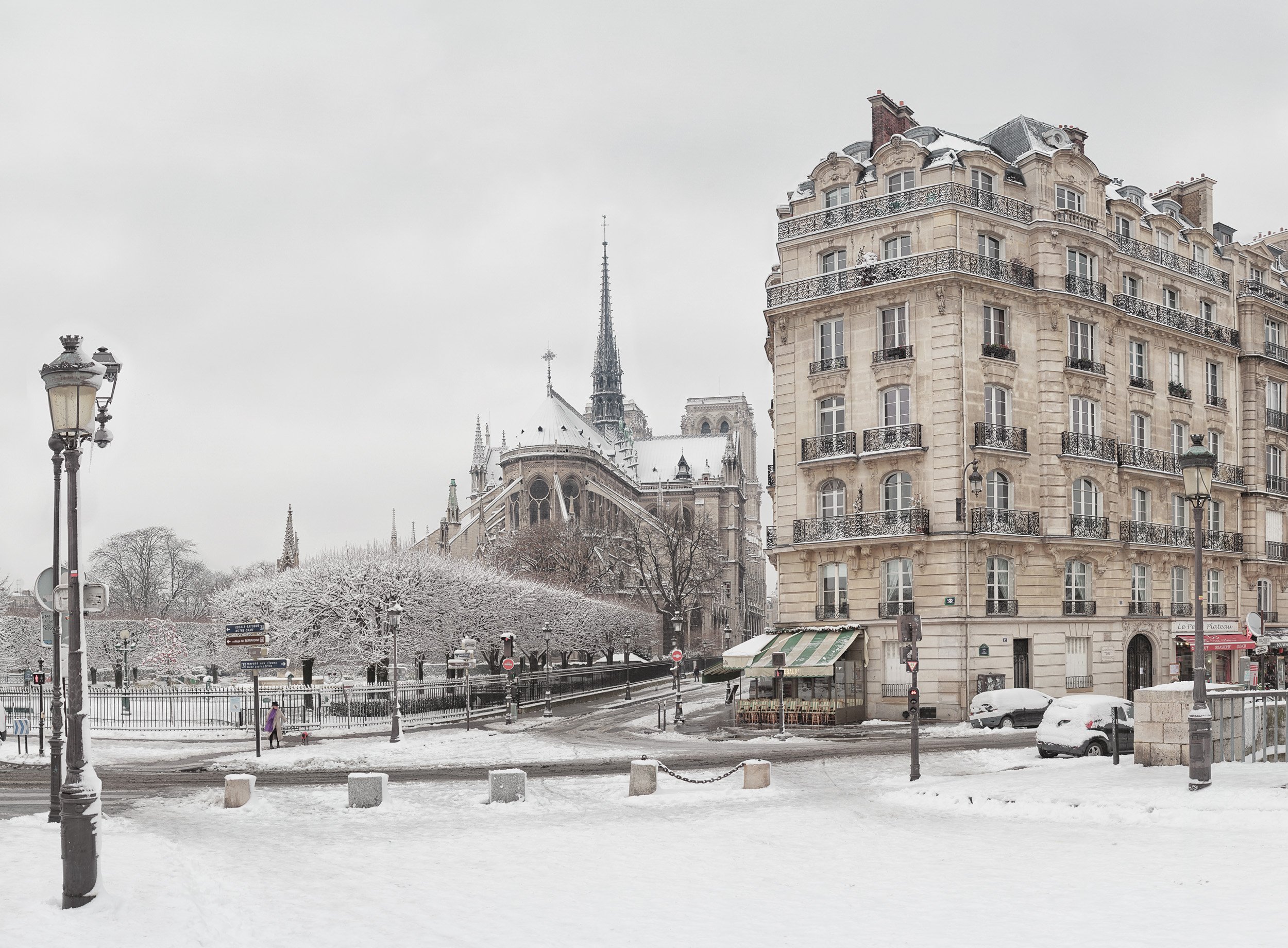 Notre-Dame de Paris, Hiver 2018