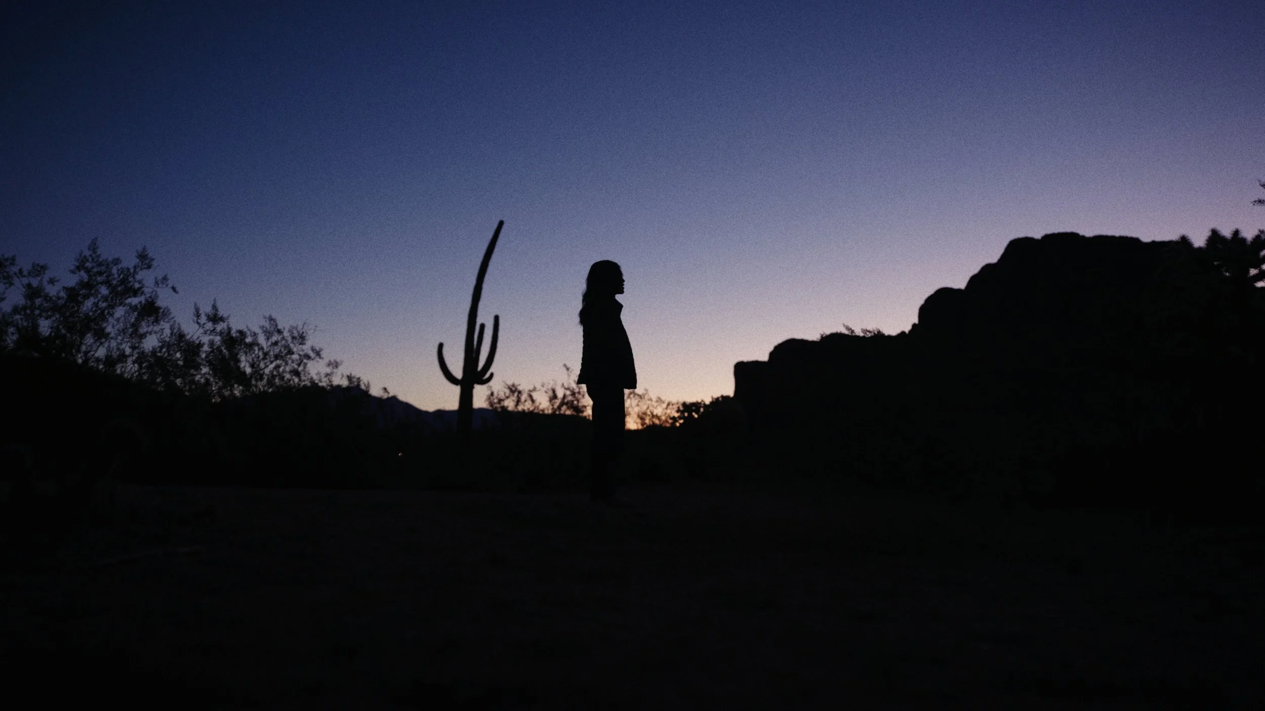 holly_1.3.1.jpg