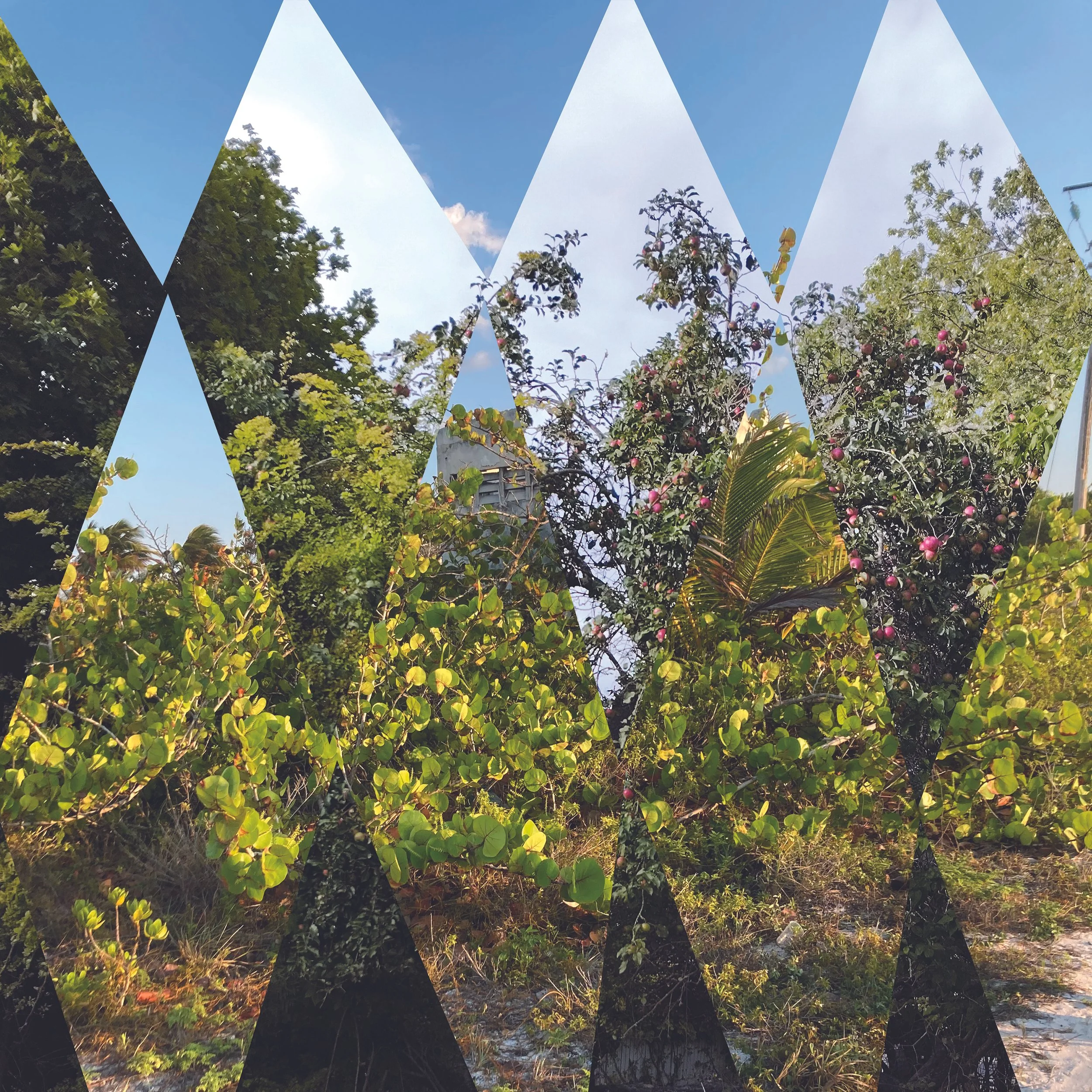 Ryan Blotnick The Woods release April 17th