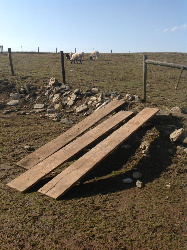 Copy of Nineteenth century Pine floor boards ready to become a table top