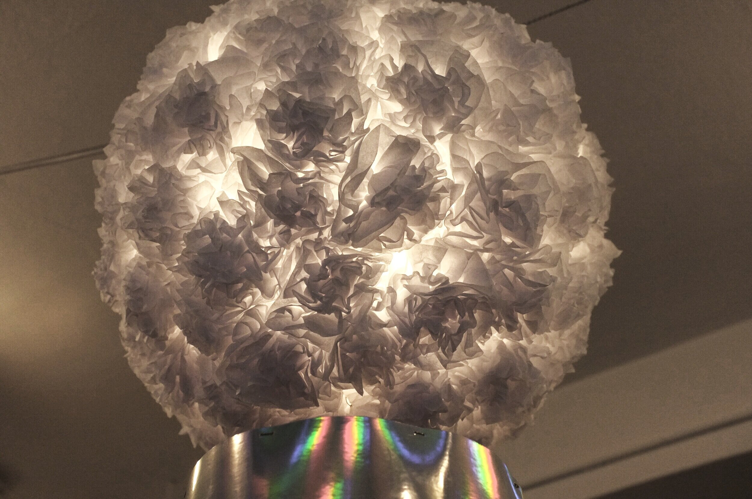 DSCF8381.jpg