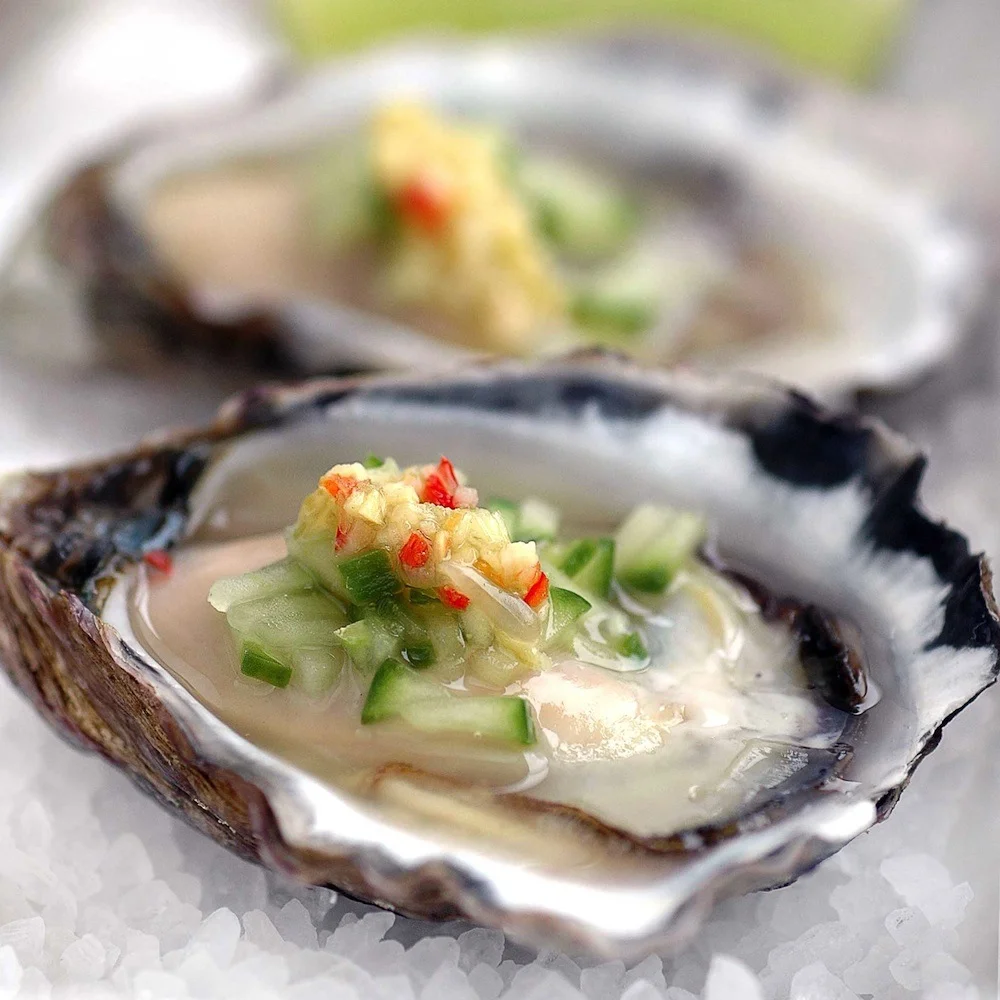 oysters.jpg