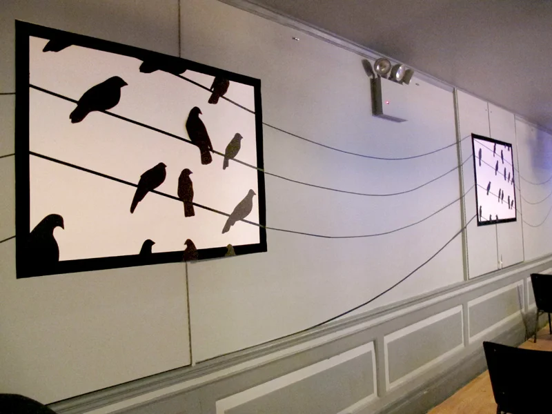 maura_sheehan_birds_13.jpg