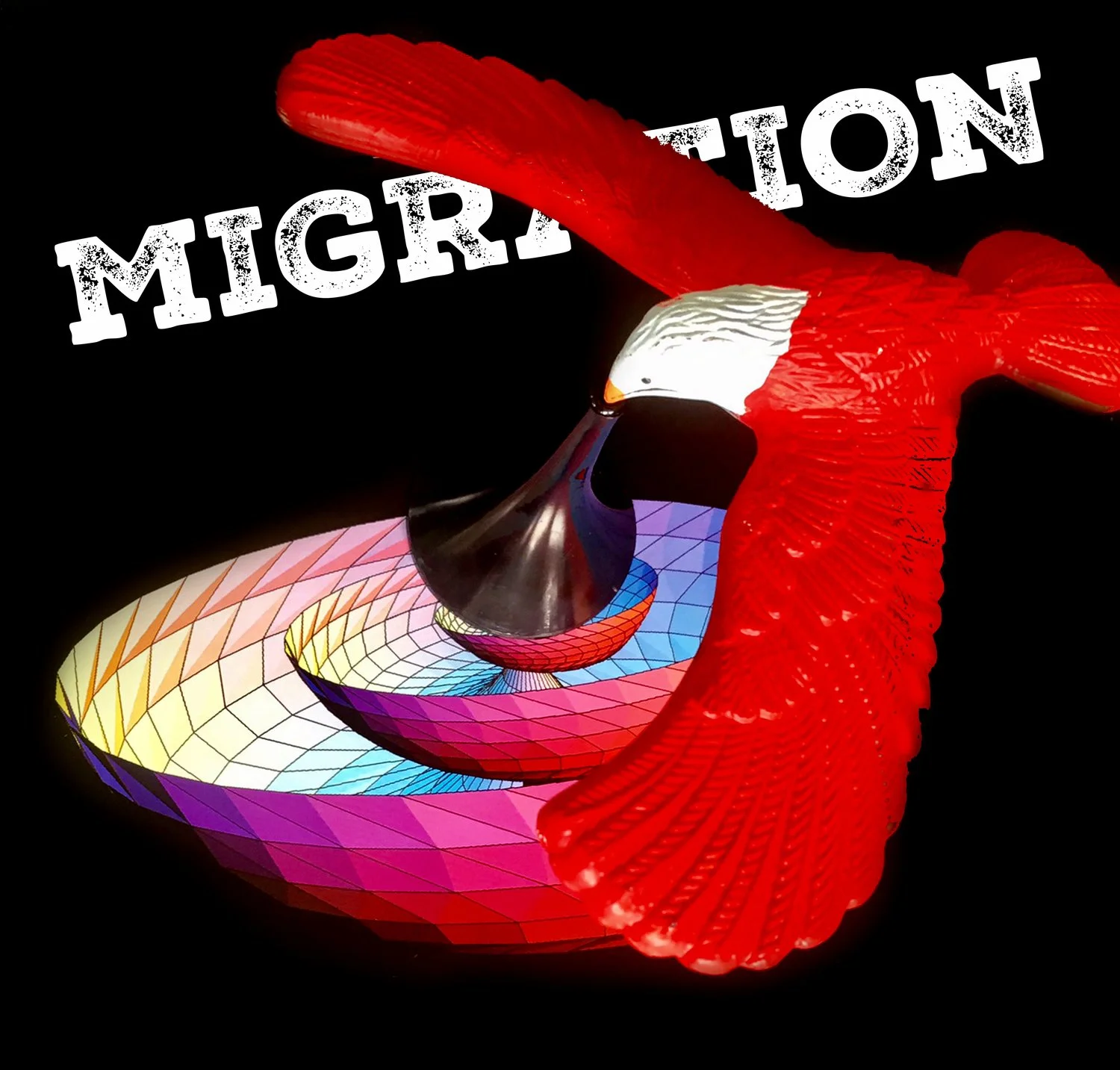 maura_sheehan_migration_24.jpg