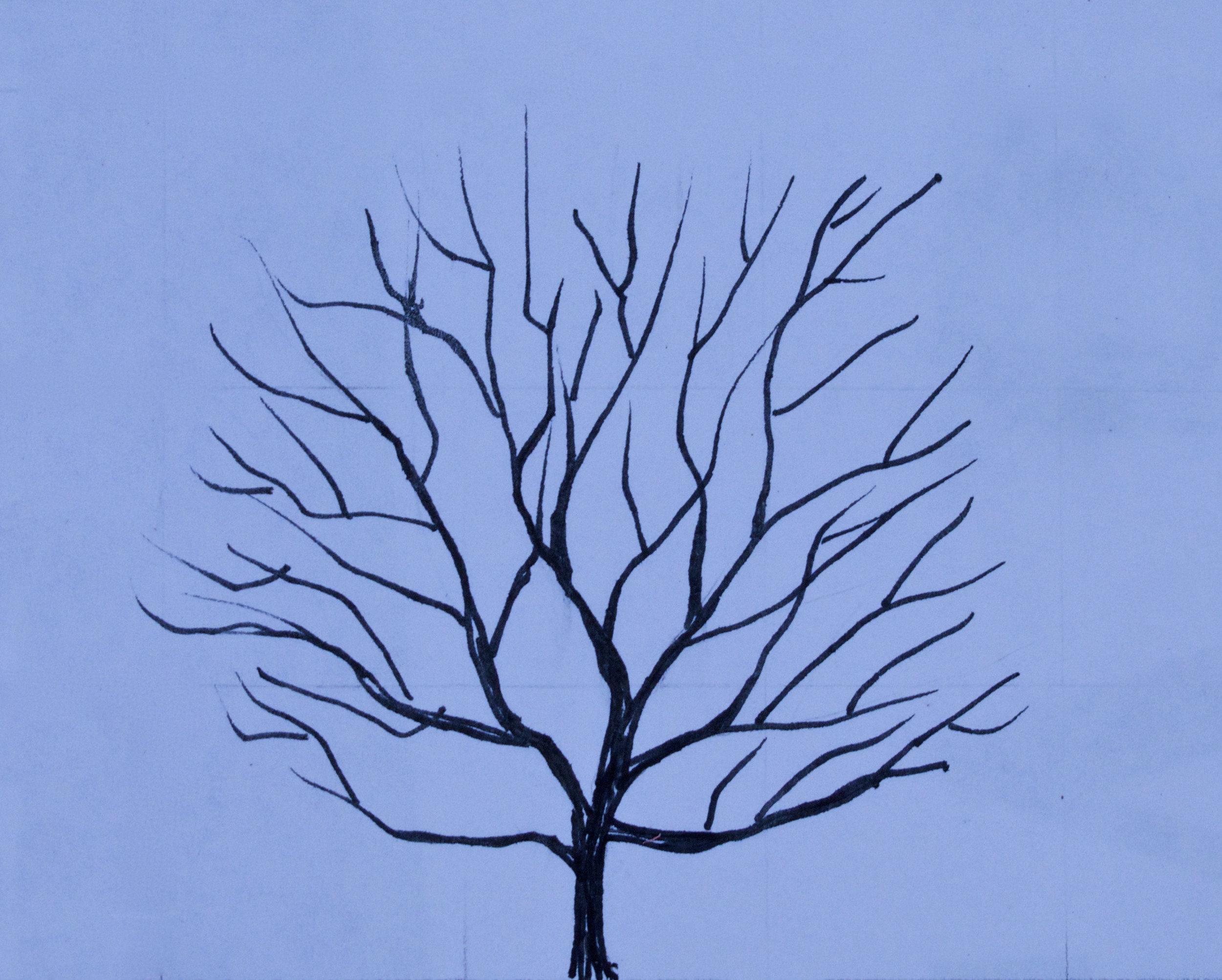 Almond, Hall's Hardy — ZOLLINGER FRUIT & TREE FARM