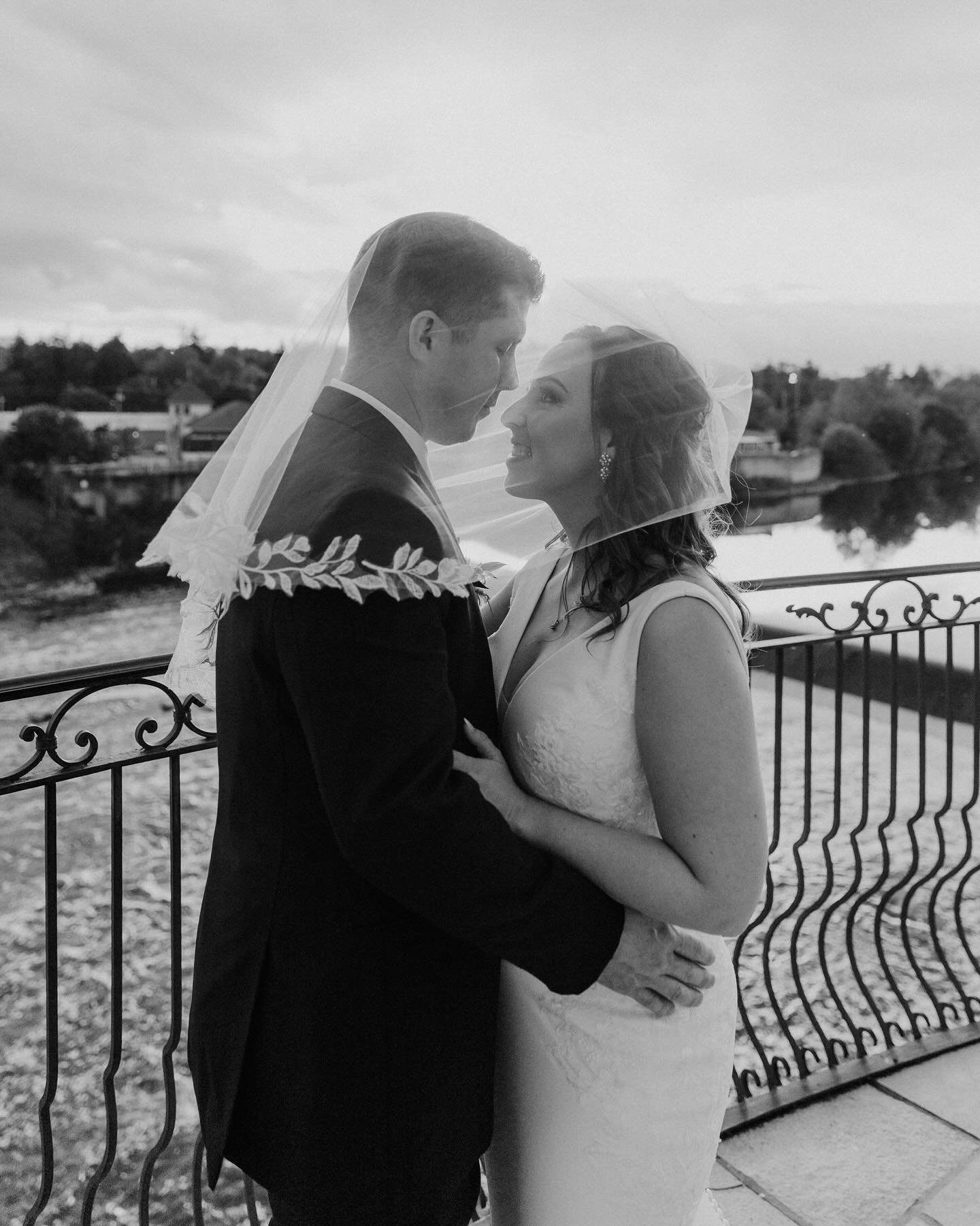 Happy anniversary love birds 🦢