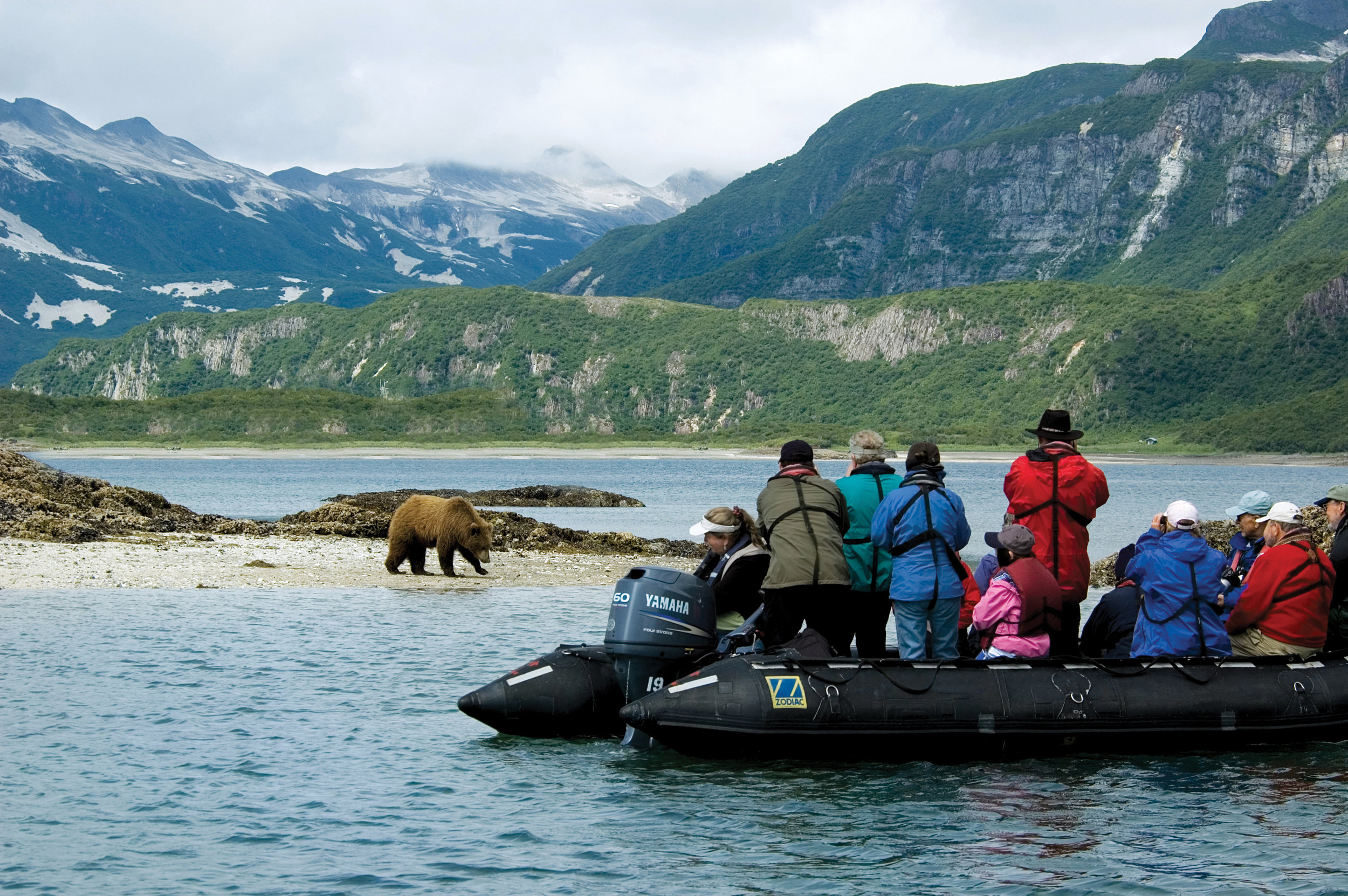 Photograph a variety of wildlife including several species of whale, northern fur seals, otters, Arctic foxes, and brown bears digging for clams in Geographic Harbor.