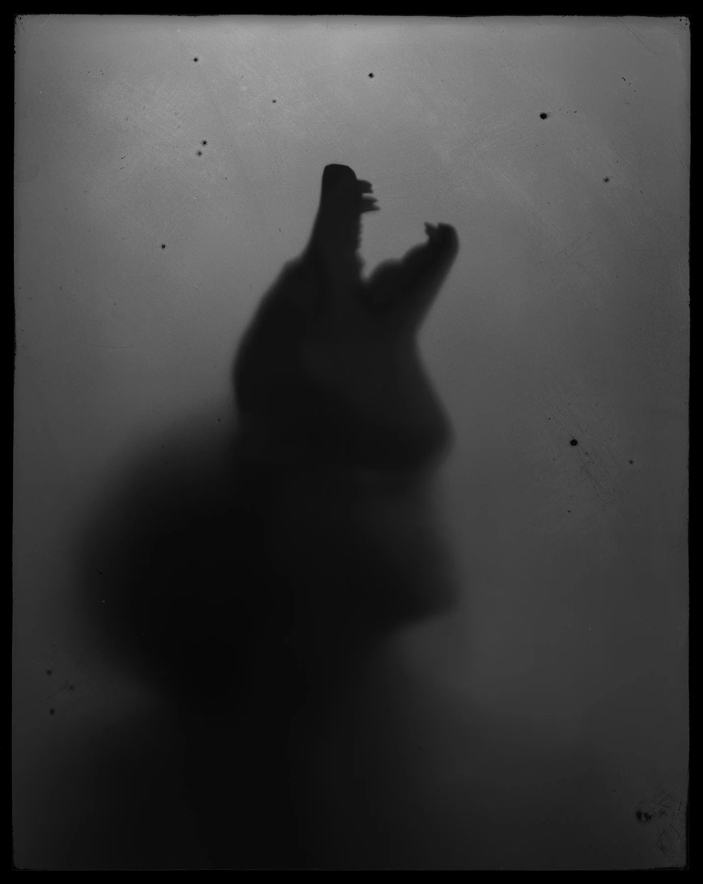 Interview: Amanda Tinker