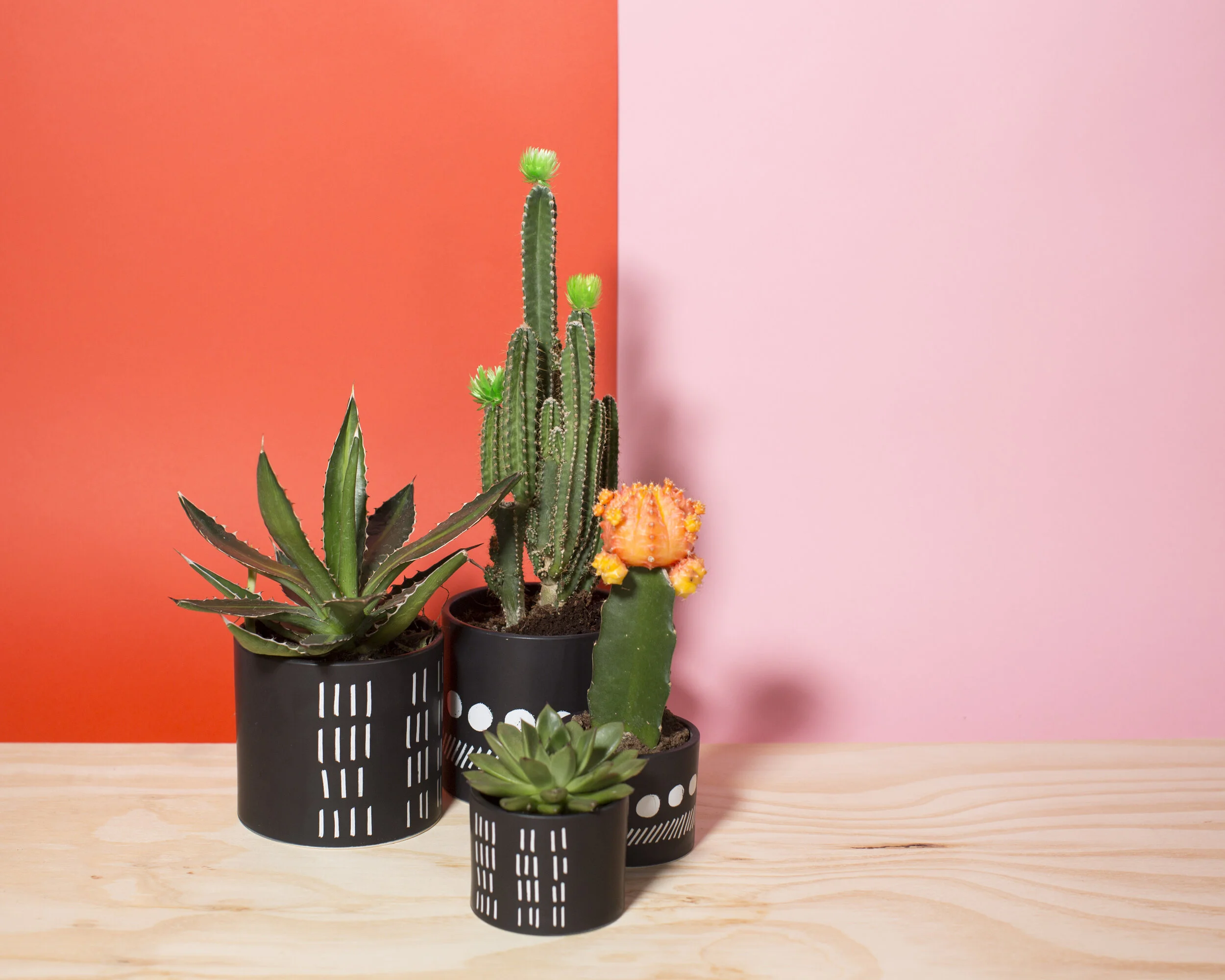    MOON PLANTERS  , PATTERN DESIGN FOR  DRAKE GENERAL STORE , CANADA, 2016 