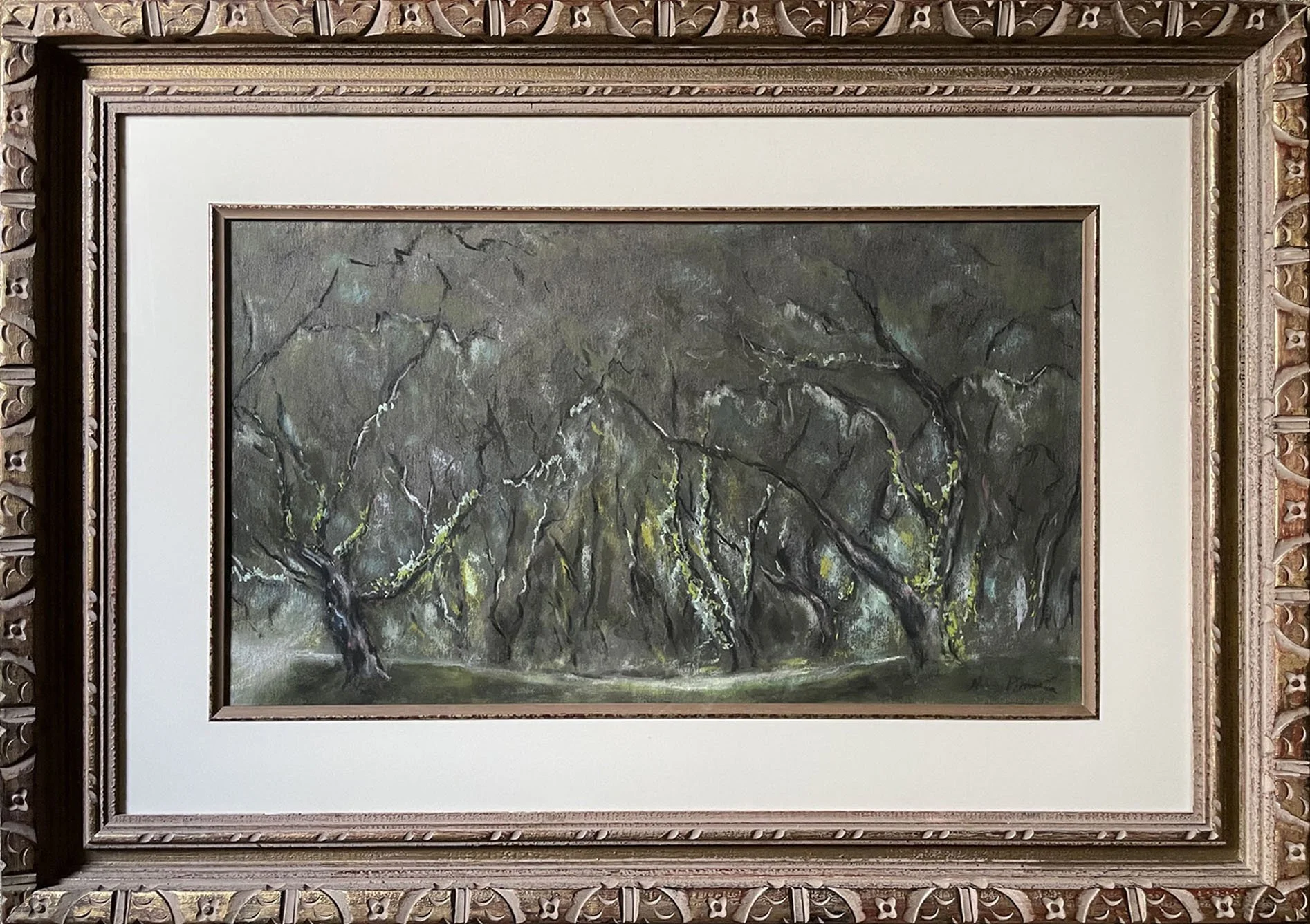 Live Oaks on Mepkin Plantation (Moncks Corner, SC)