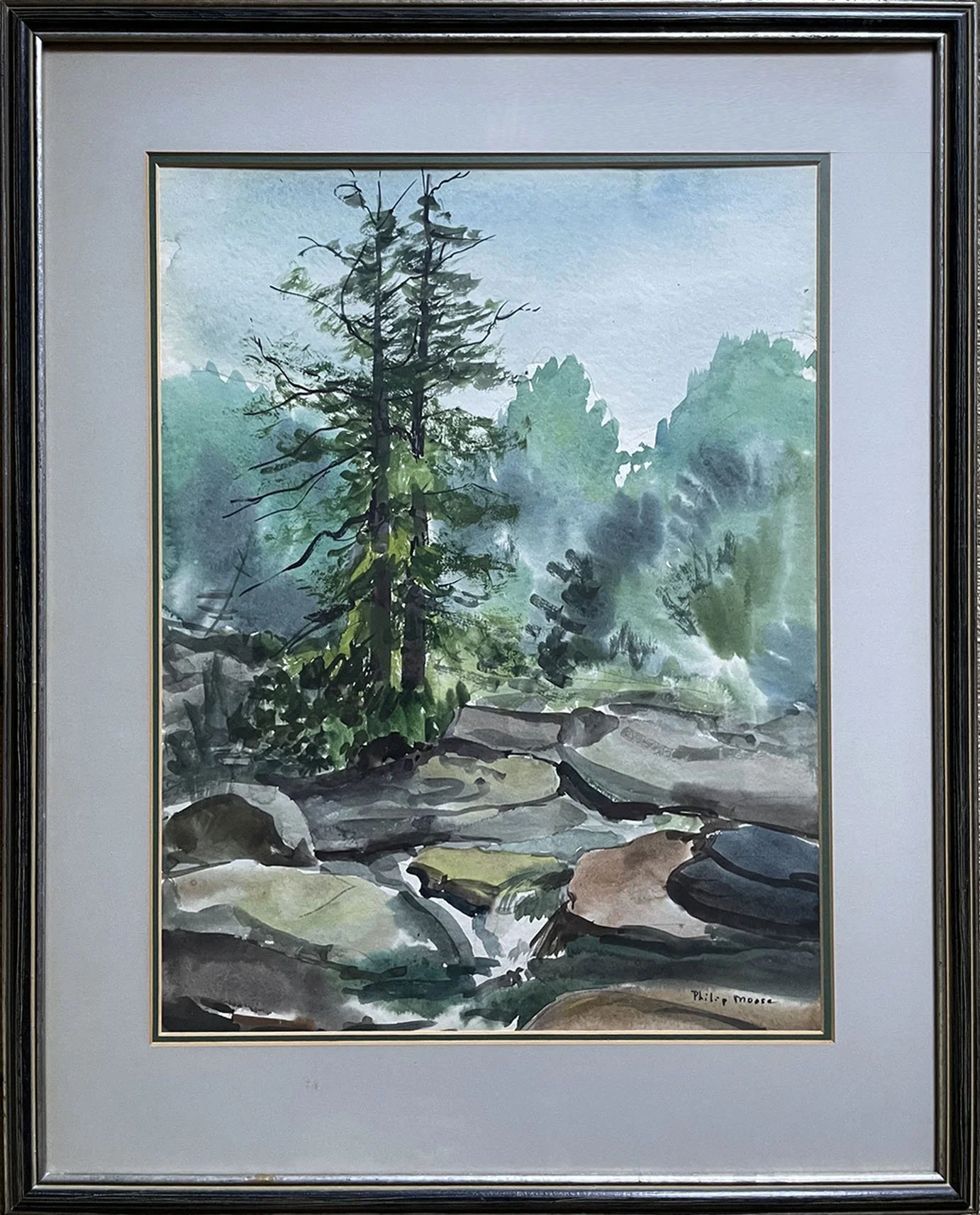Mountain Landscape with creek and trees