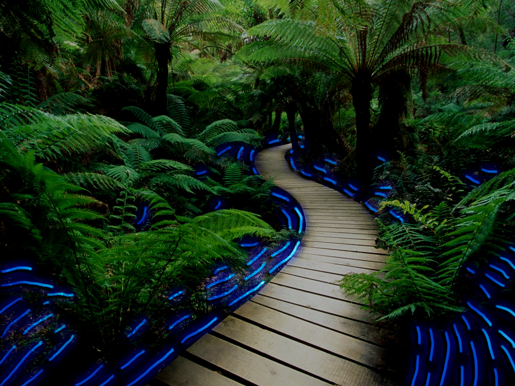 neontrail1.jpg