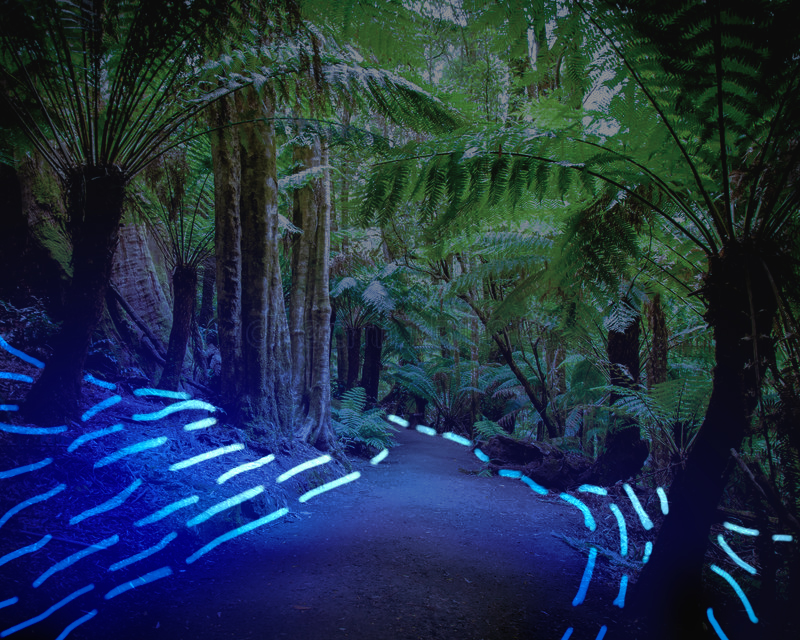 neontrail.jpg