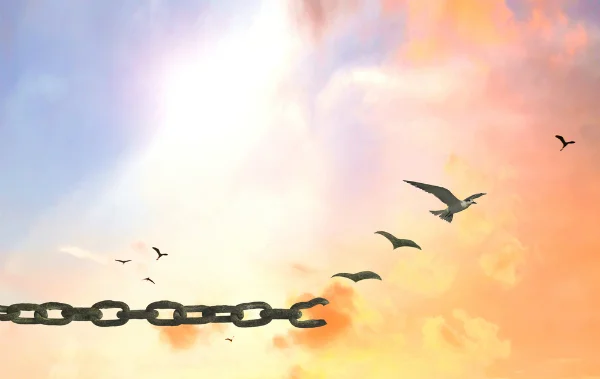 free.jpg