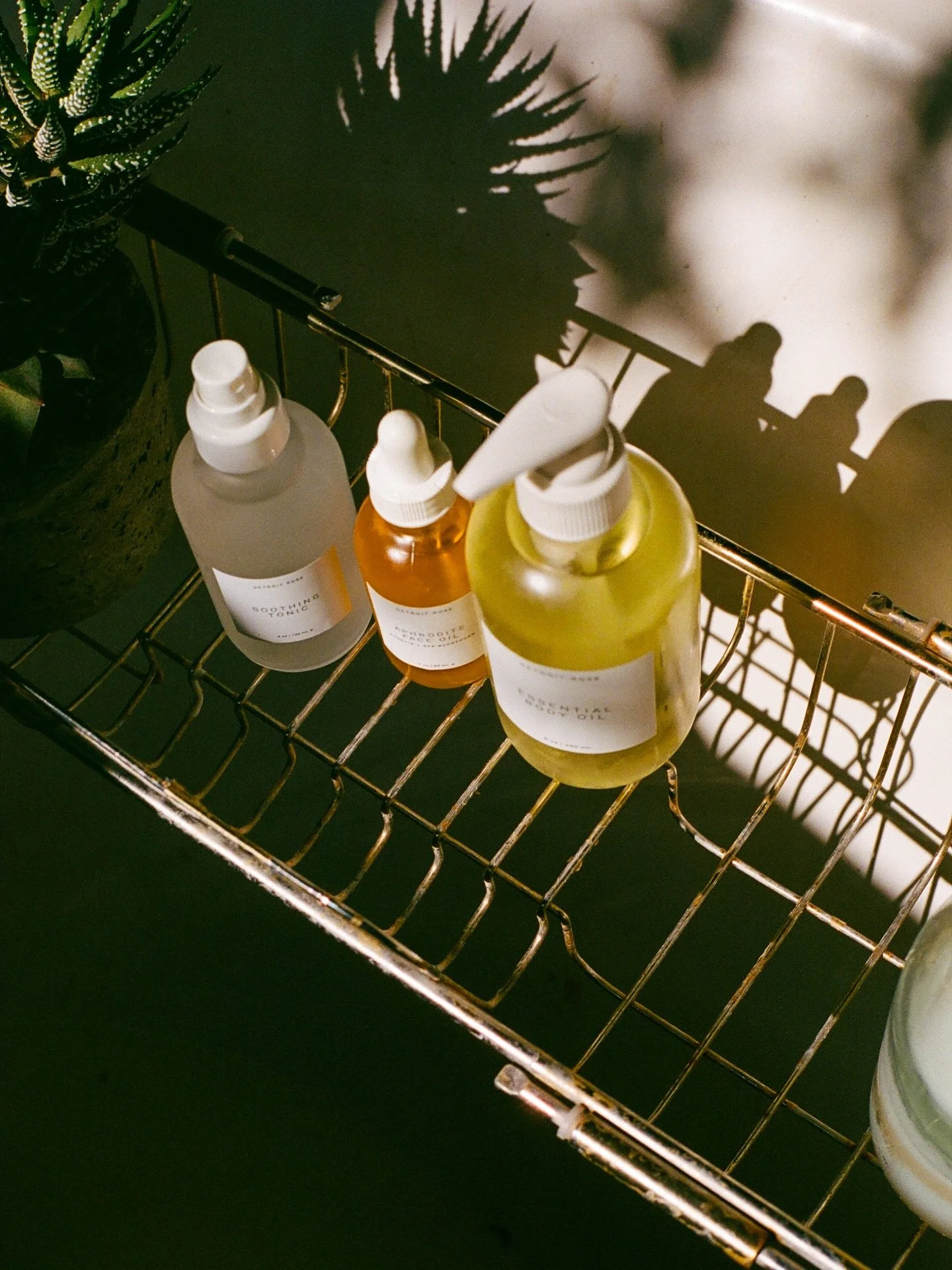 it&rsquo;s time to simplify your skincare routine. warming weather means less of the heavy stuff and more lightweight formulas that pull double duty: ⁠
⁠
~ Soothing Tonic hydrates and reduces redness⁠
~ Aphrodite Face Oil nourishes and plumps ⁠
~ Ess