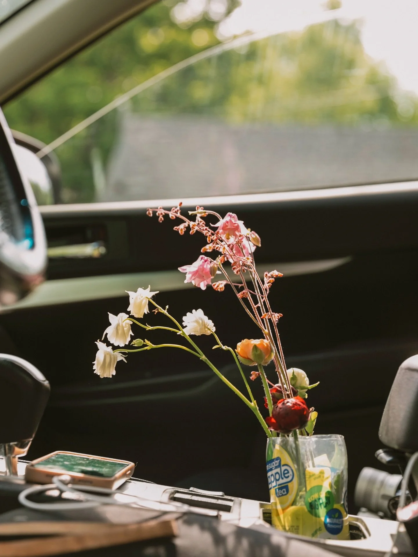 everything in bloom has us looking forward to getting lost on long drives and foraging along the way 💭 ⁠
⁠
thank you @xtina_stoever for these dreamy stills from last summer living rent free in our minds 💛
