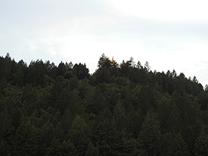 DSCN8128.jpg