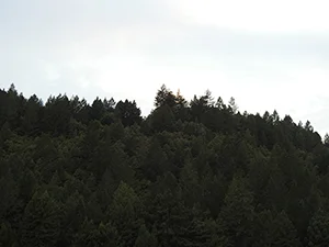 DSCN8128.jpg