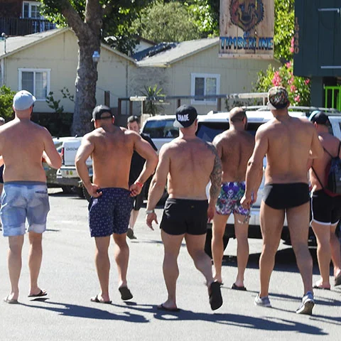 FAQs: Lazy Bear Week 2019 