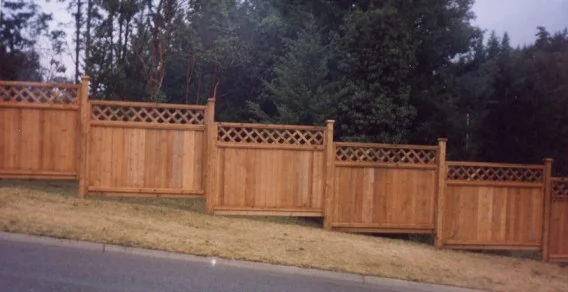 Fence5.jpg