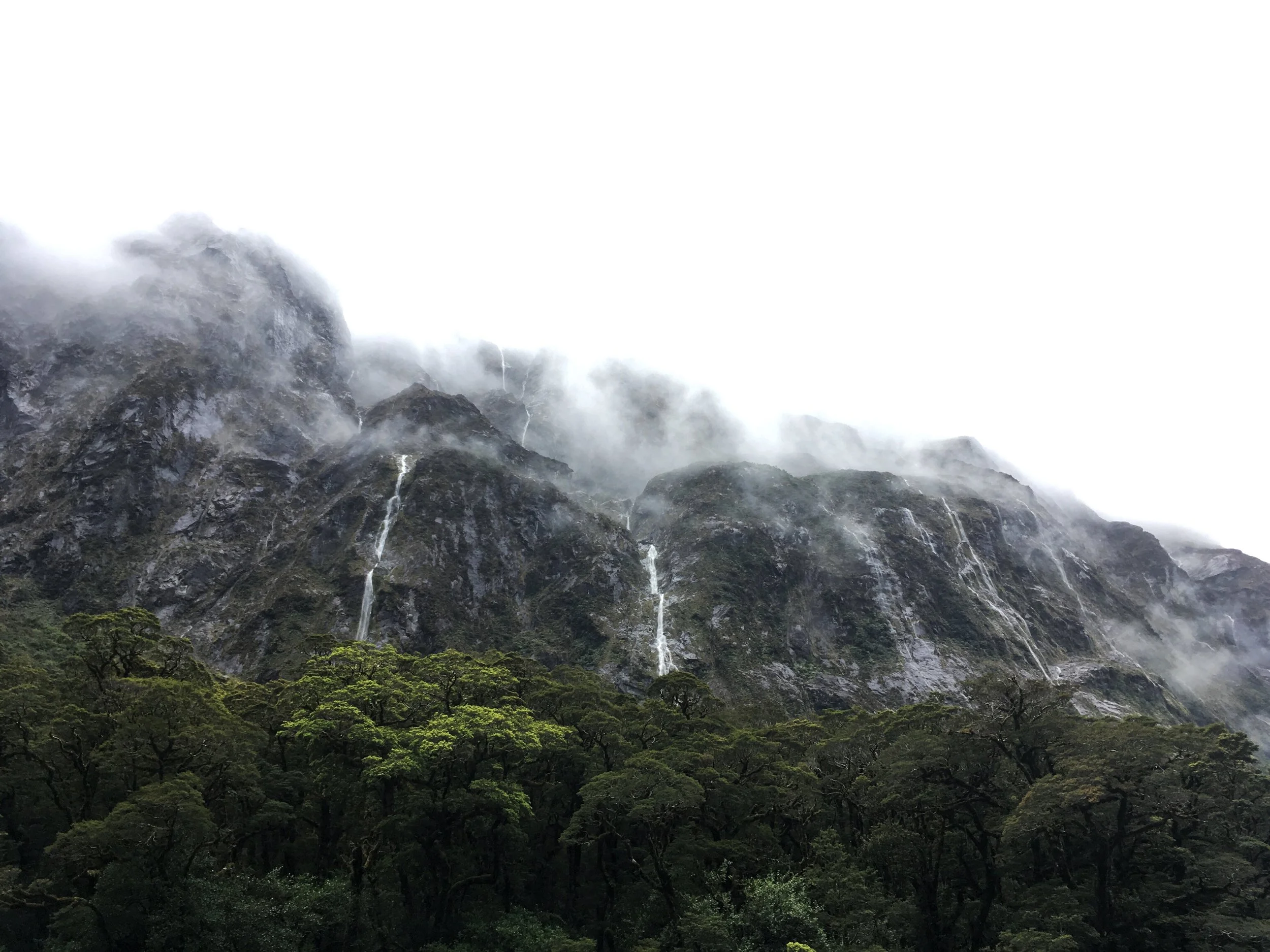 Road to Milford Sound - New Zealand