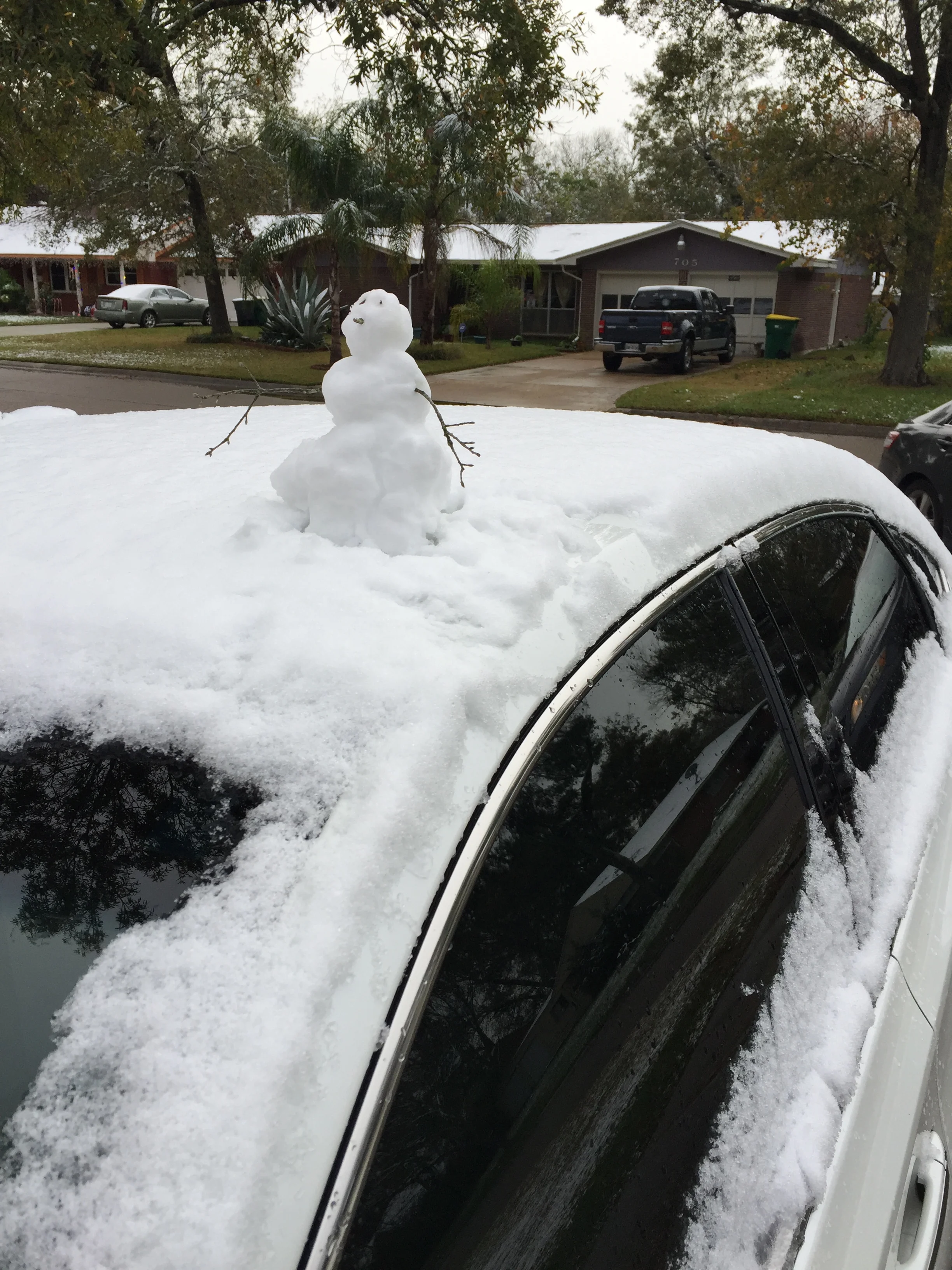 Texas Sized Snowfall