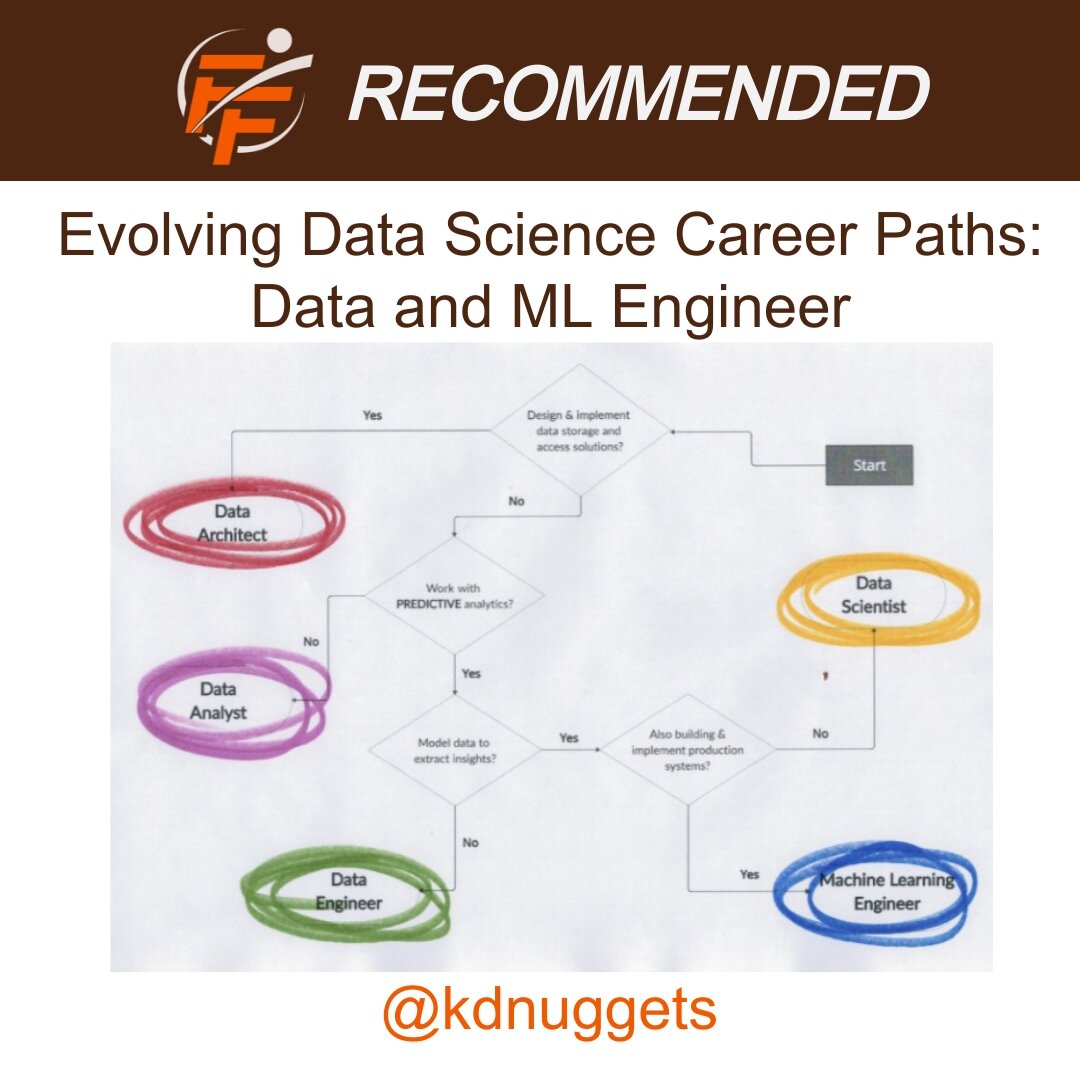 Data Science Career Path Evolution