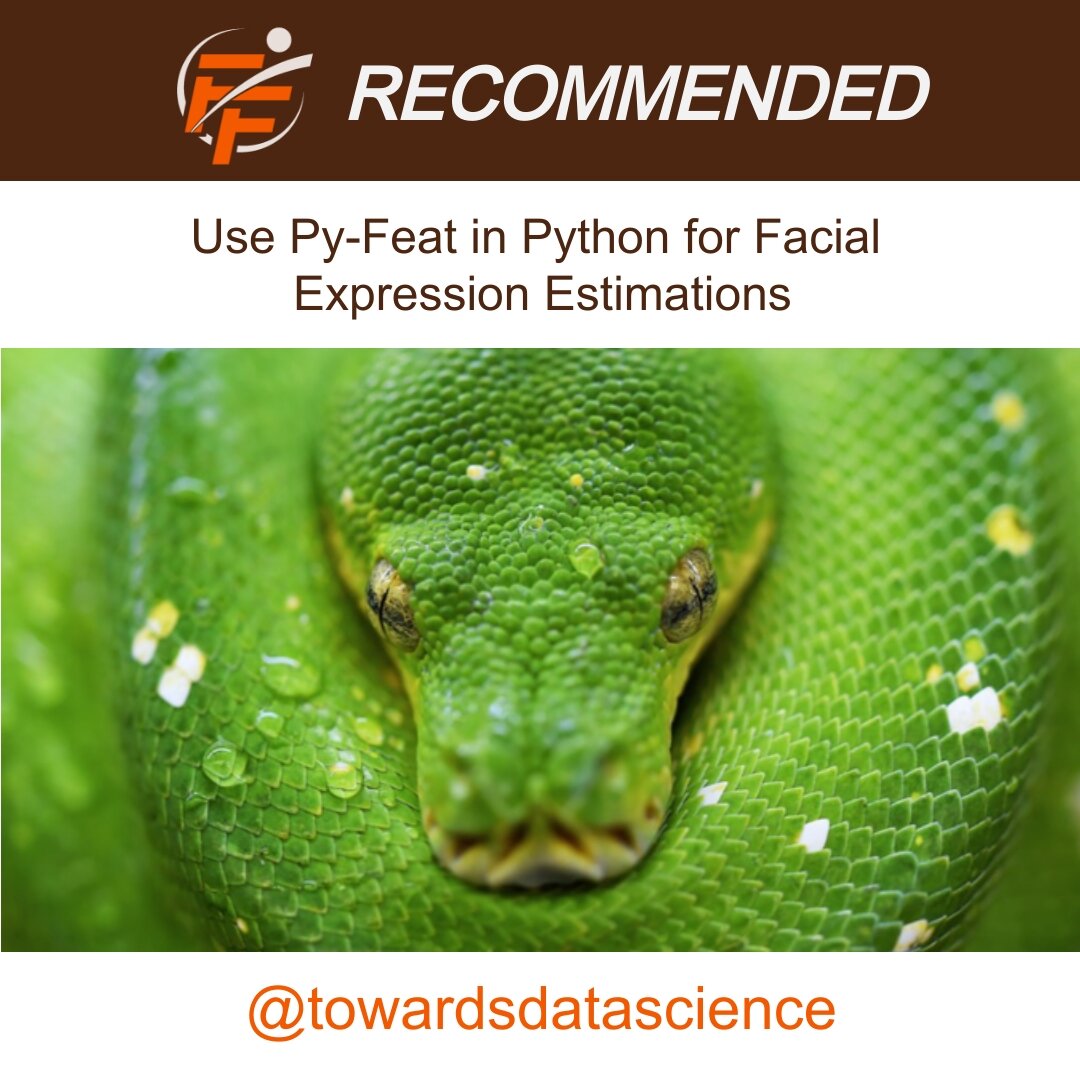 Py-Feat Python for Facial Recognition Estimations
