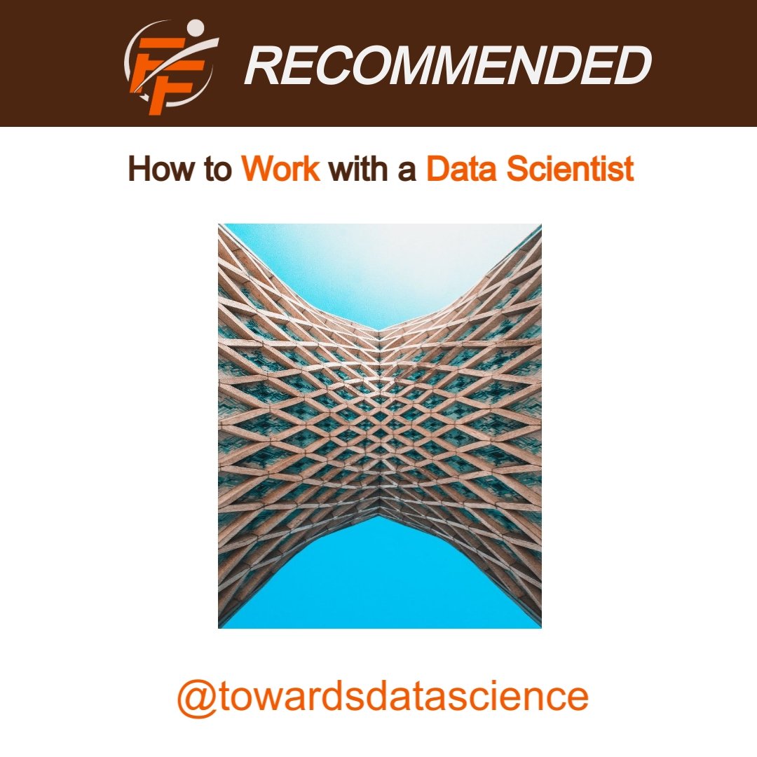 How to Work With a Data Scientist