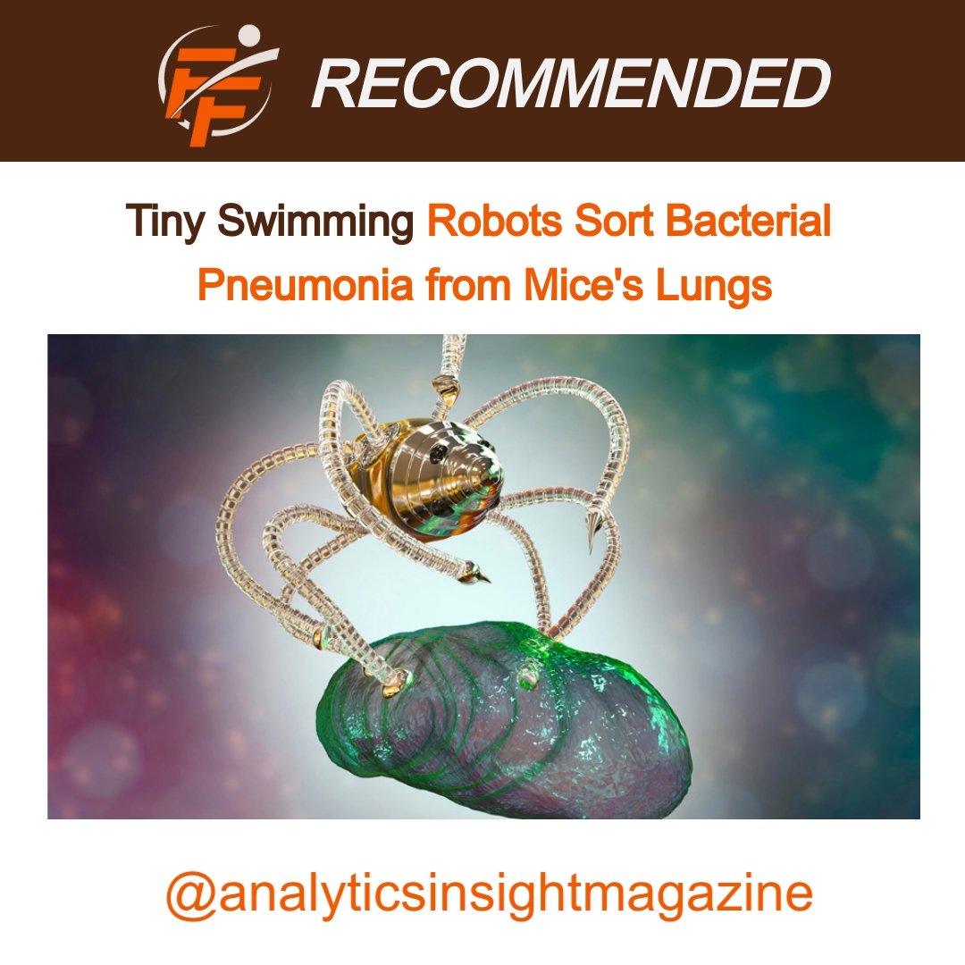 Tiny swimming robots sort bacterial pneumonia from mice's lungs.