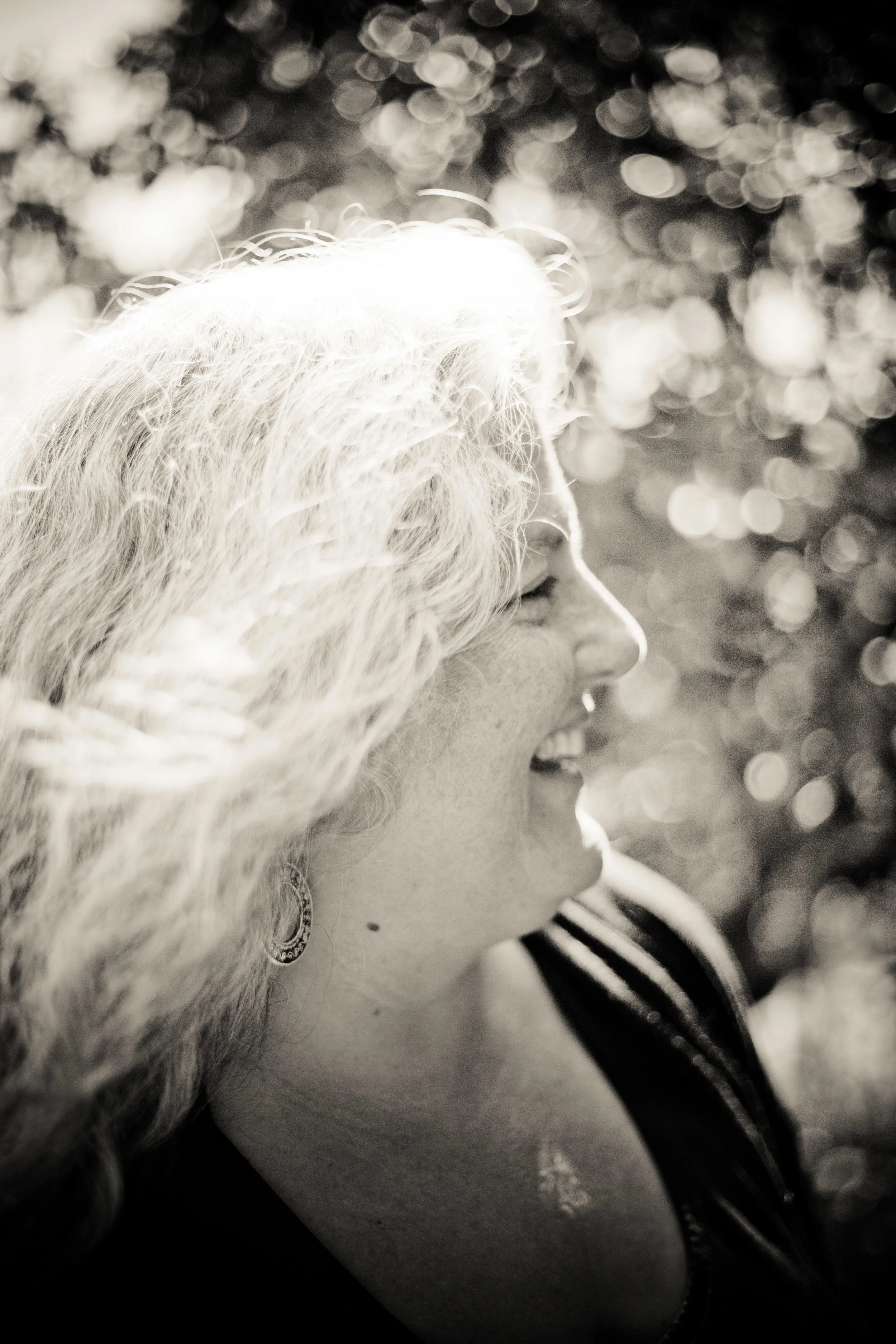 A teacher of poetry for over twenty five years, Levin currently serves as Distinguished Writer in Residence at Maryville University in St. Louis. 