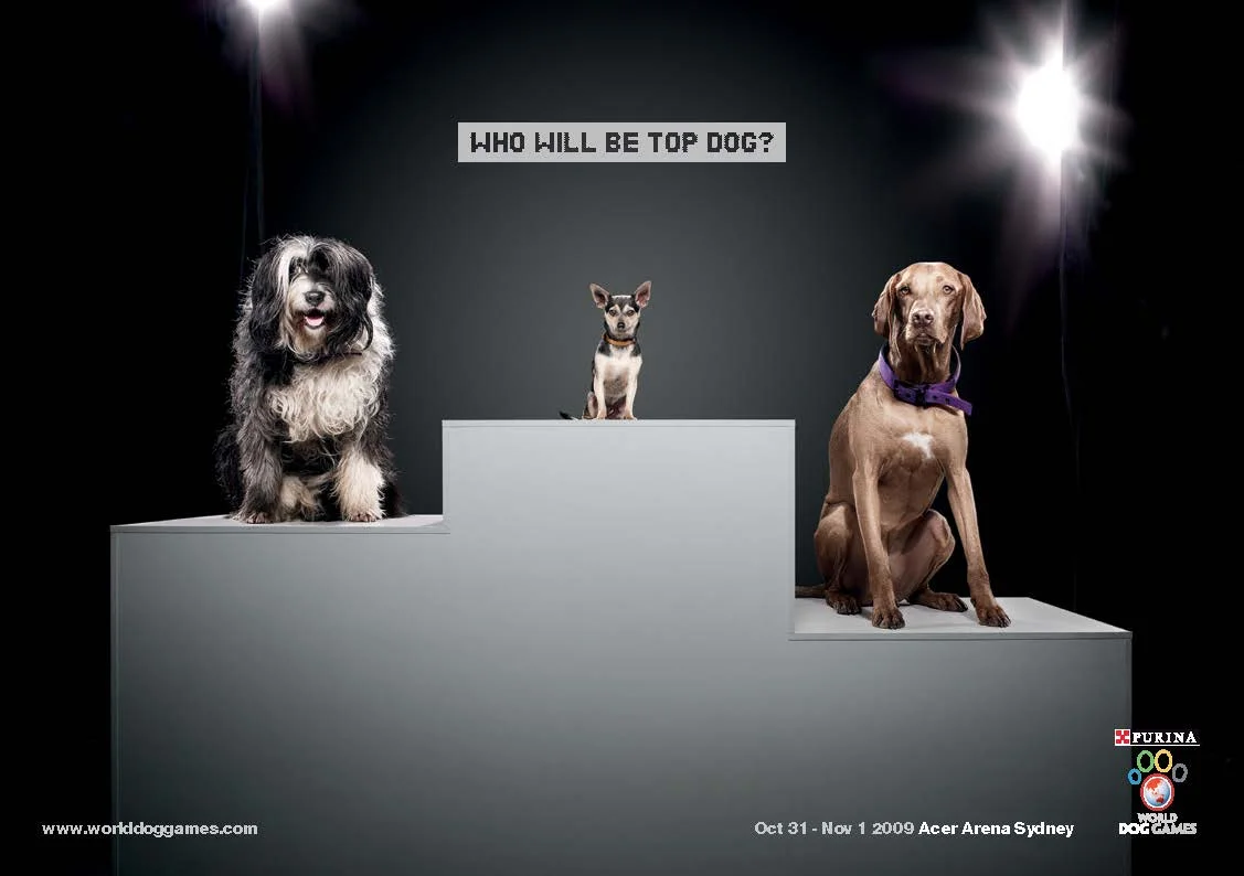 World Dog Games_Page_1.jpg