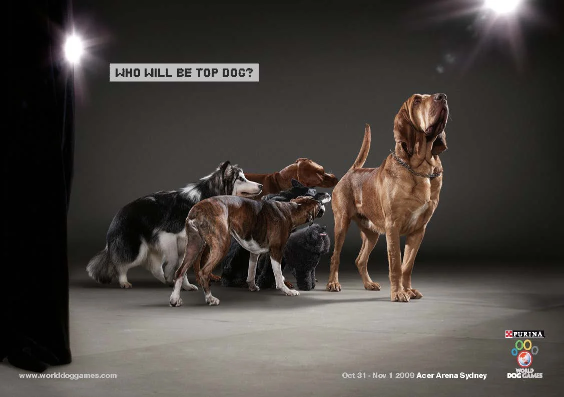 World Dog Games_Page_2.jpg