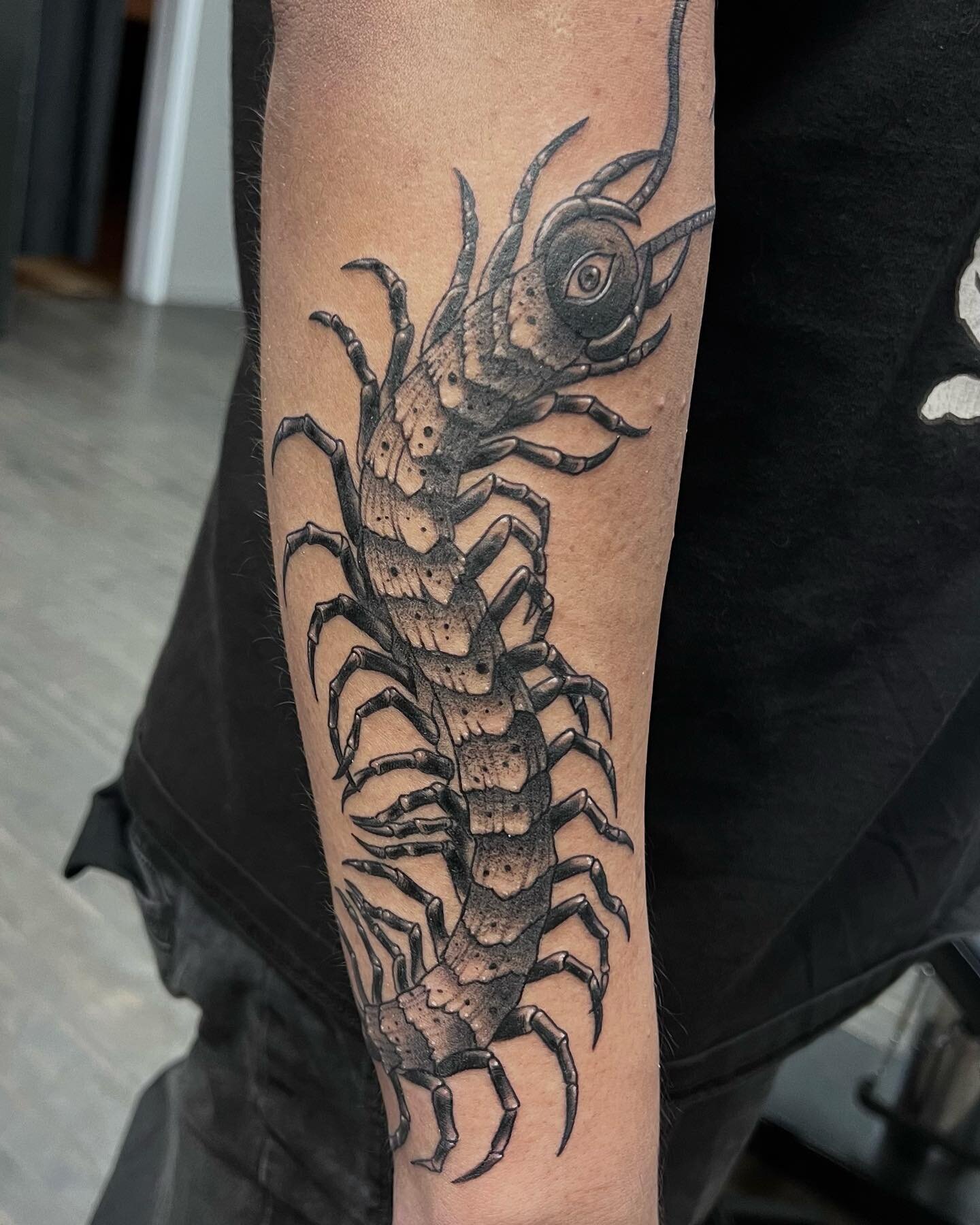 More creepy crawlers please! 🐛😈 #blackwork #centipedetattoo #spookyvibes