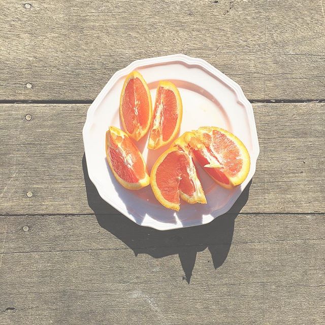 Take me back to when it was warm enough to eat oranges outside!