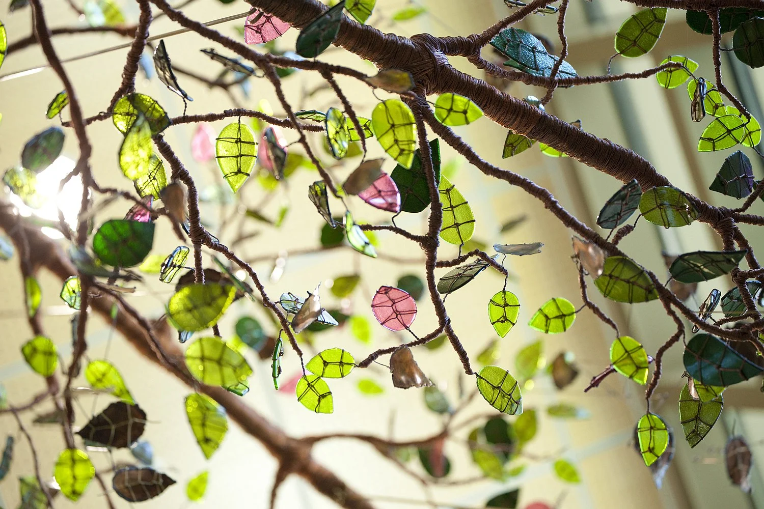 detail_thru_branch.jpg