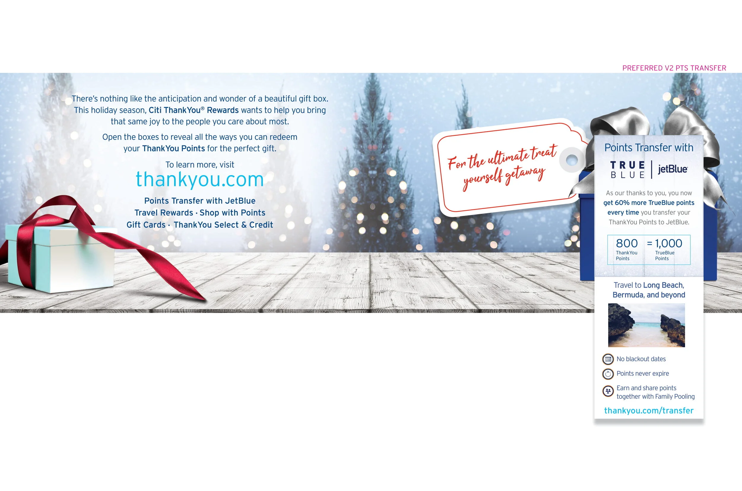 Citi: Holiday Brochure-3.jpg