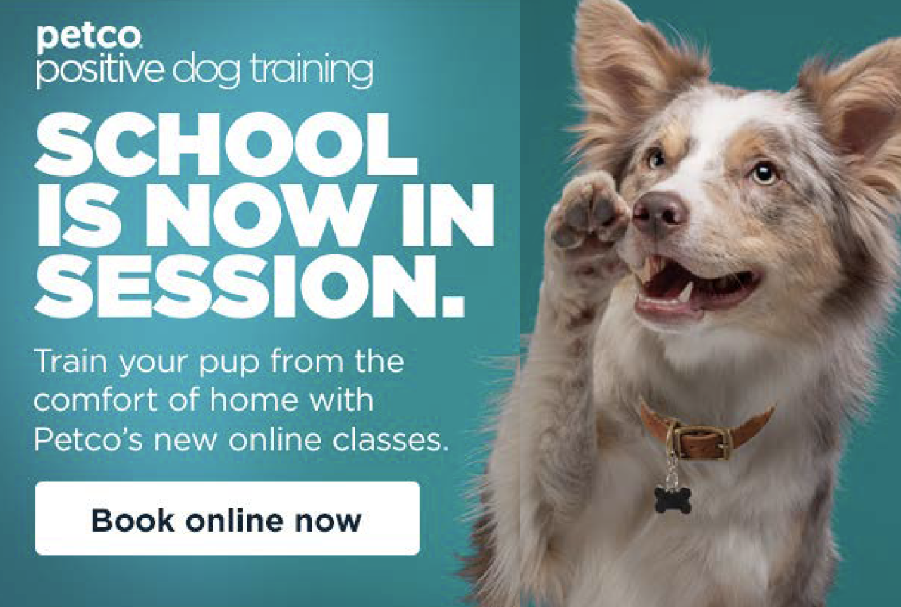 Screen Shot 2020-06-09 at 11.35.06 AM.png