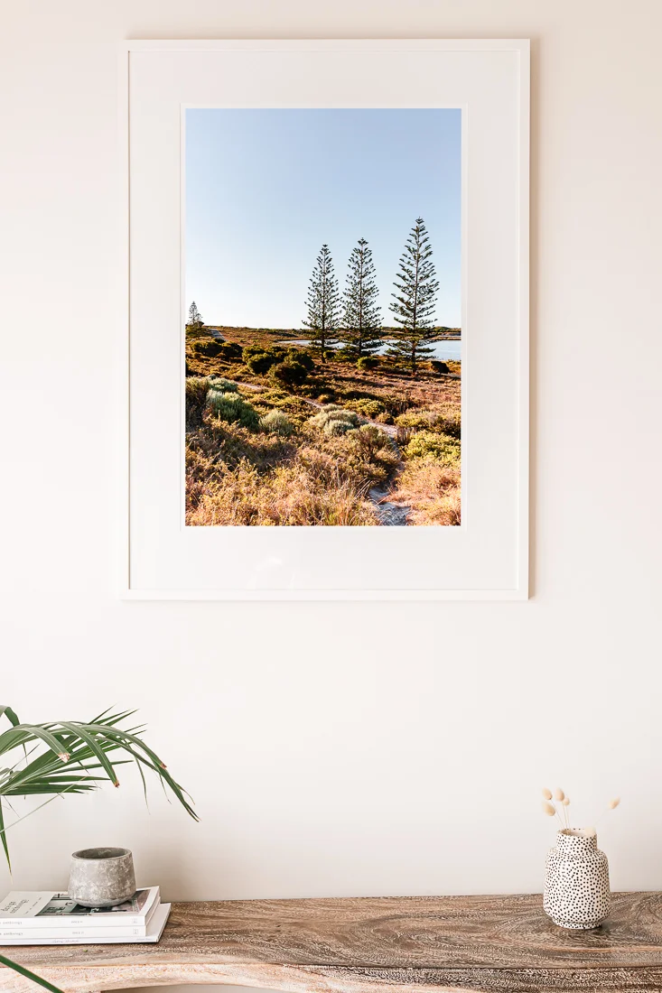 deniserix-norfolkpines-styled.jpg