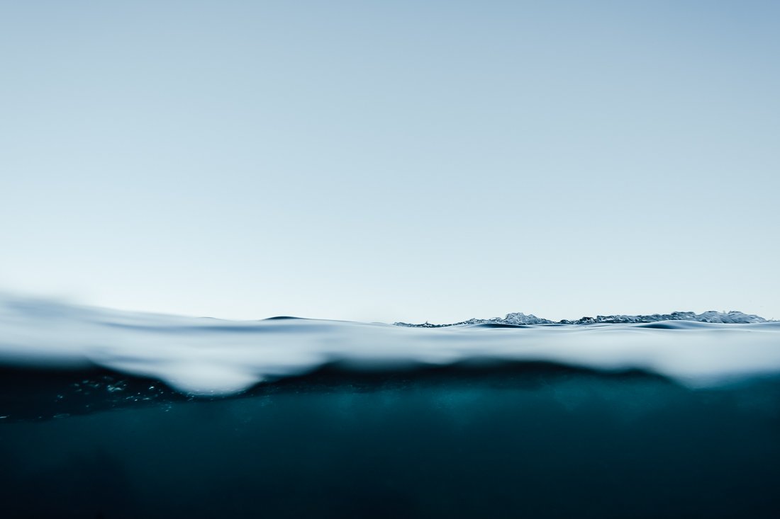 DeniseRix_surface_collection3.jpg