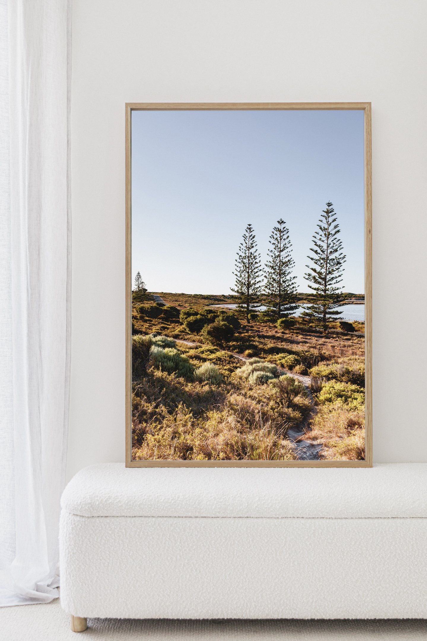 denise-rix-photographic-print-norfolk-pines-rottnest-island-styled