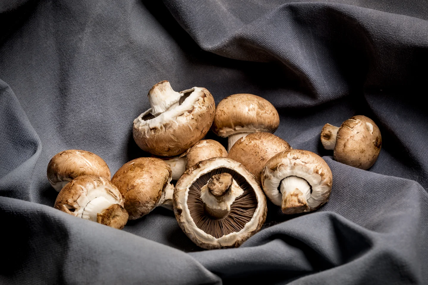 studio_lighting_food_photography7.jpg